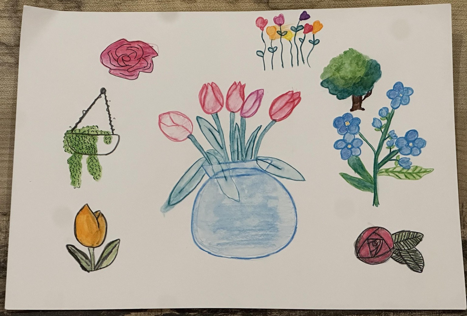 My sketches with watercolor pencils - image 3 - student project