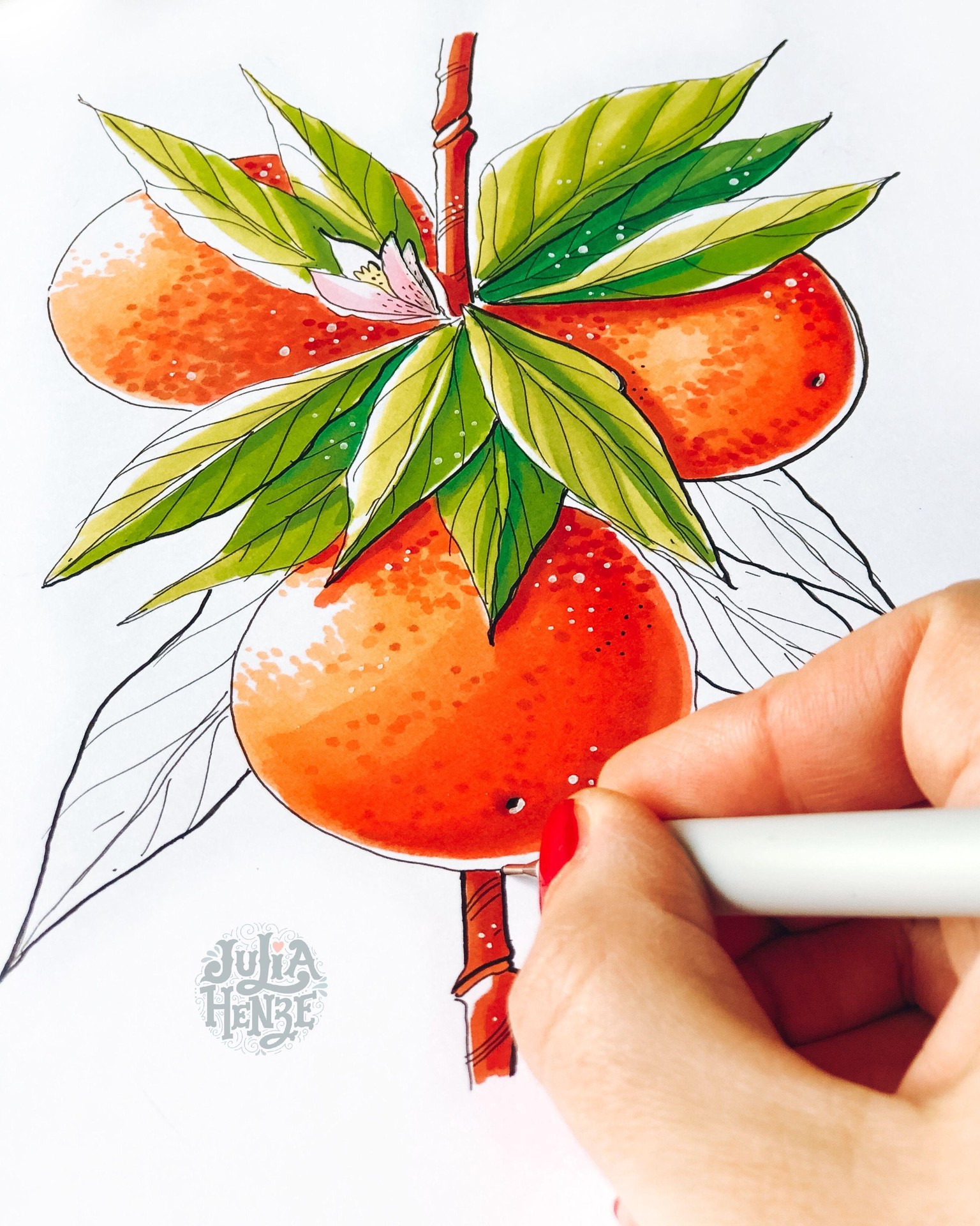 SAMPLE PROJECT | Drawing with Markers: Learn How to Sketch Expressive Fruits - image 2 - student project