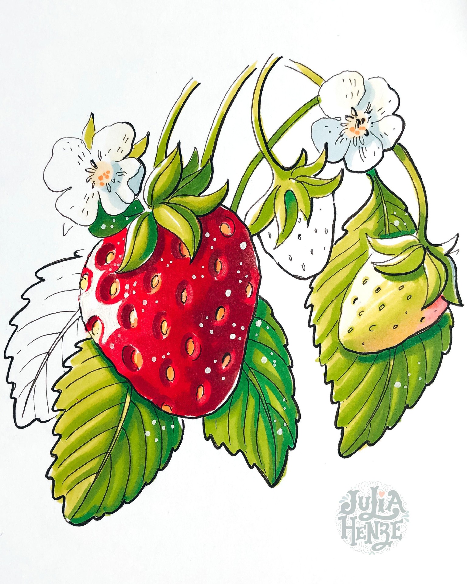 SAMPLE PROJECT | Drawing with Markers: Learn How to Sketch Expressive Fruits - image 5 - student project