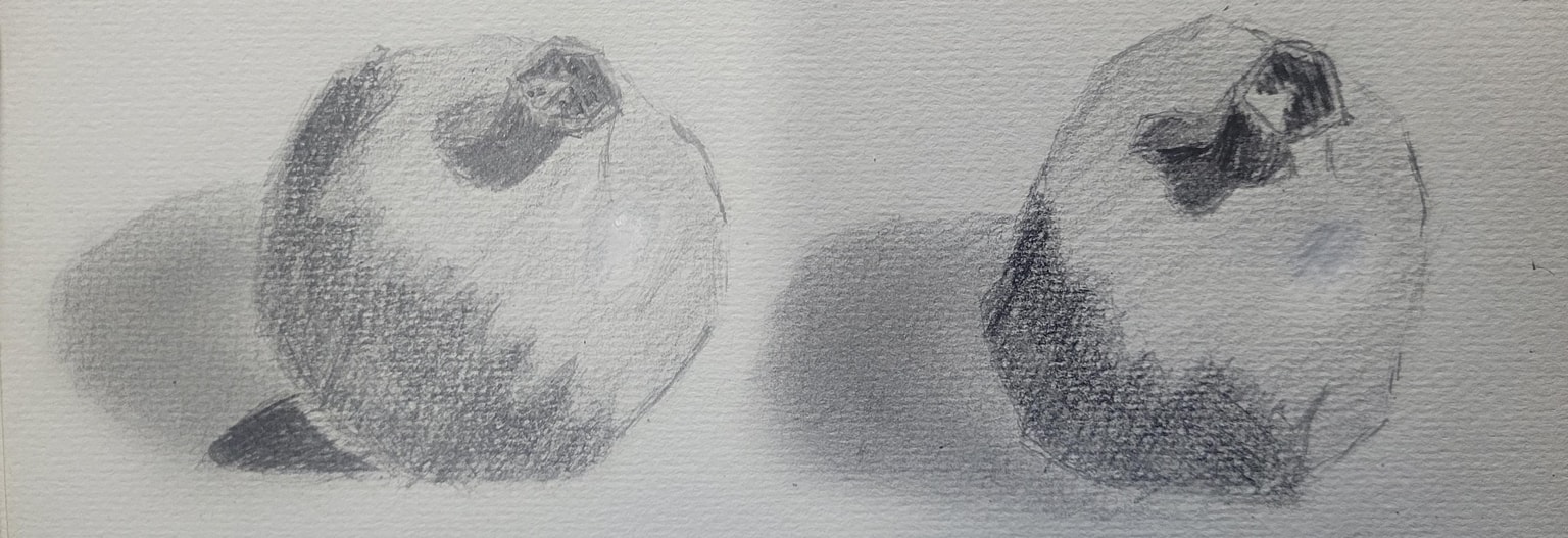 Pomegranade - image 1 - student project