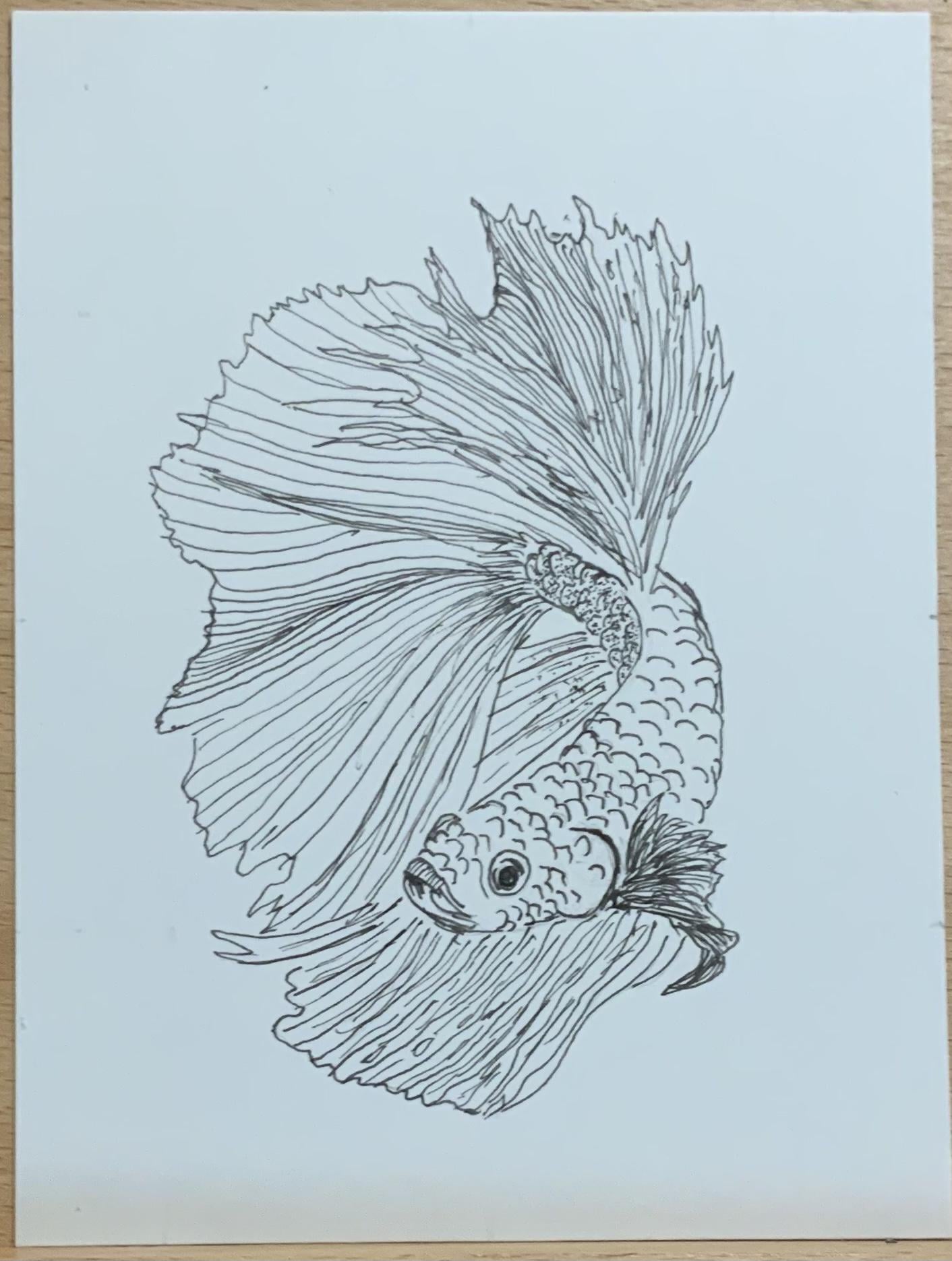Pen Drawings - image 1 - student project