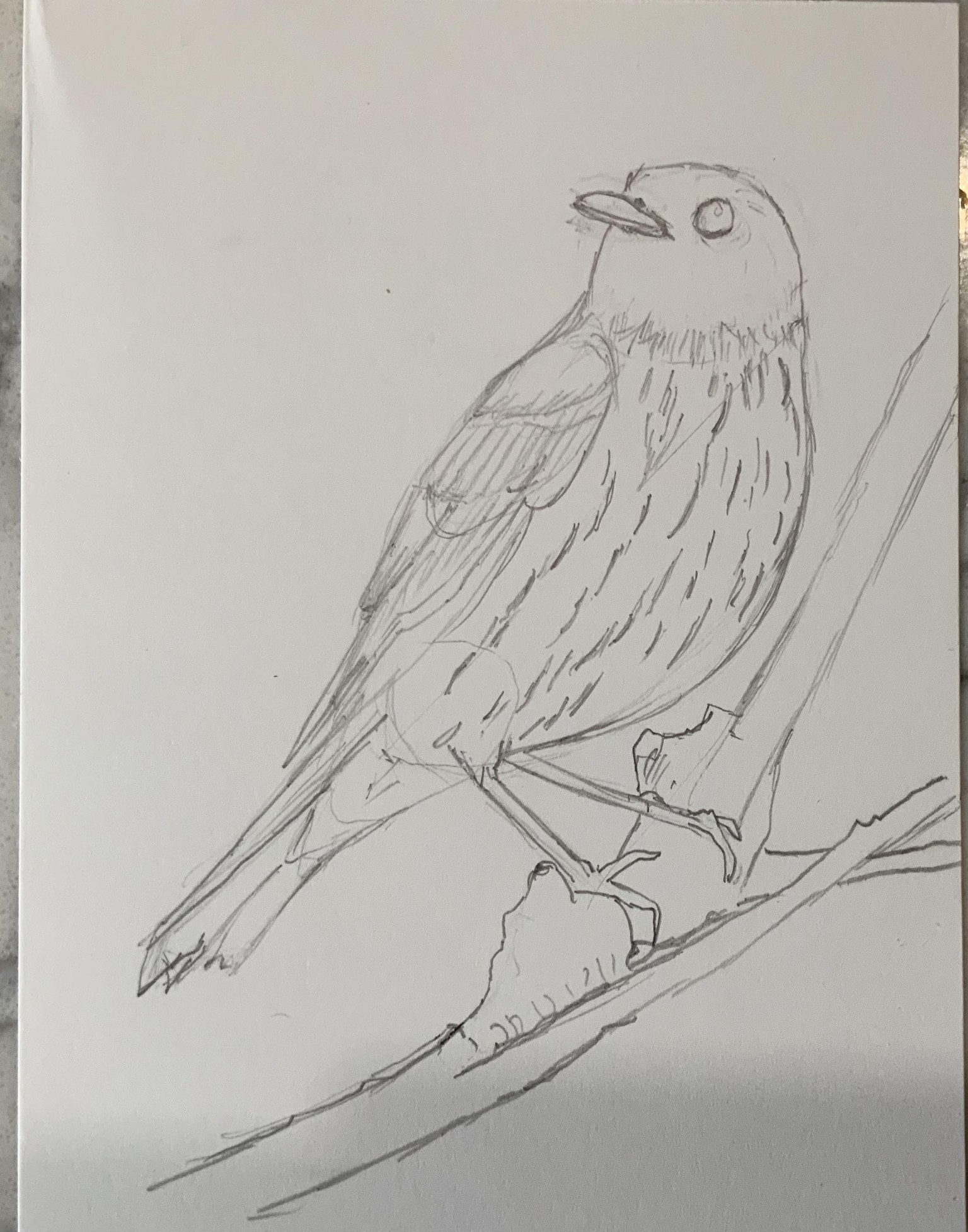 Pen Drawings - image 6 - student project
