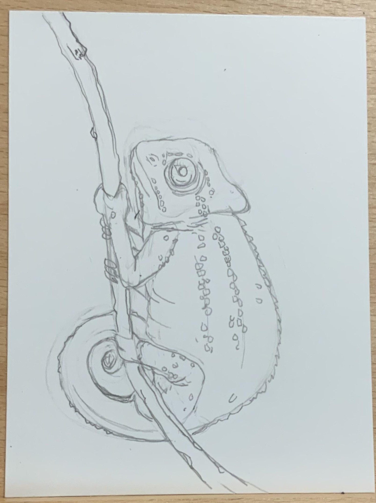 Pen Drawings - image 4 - student project