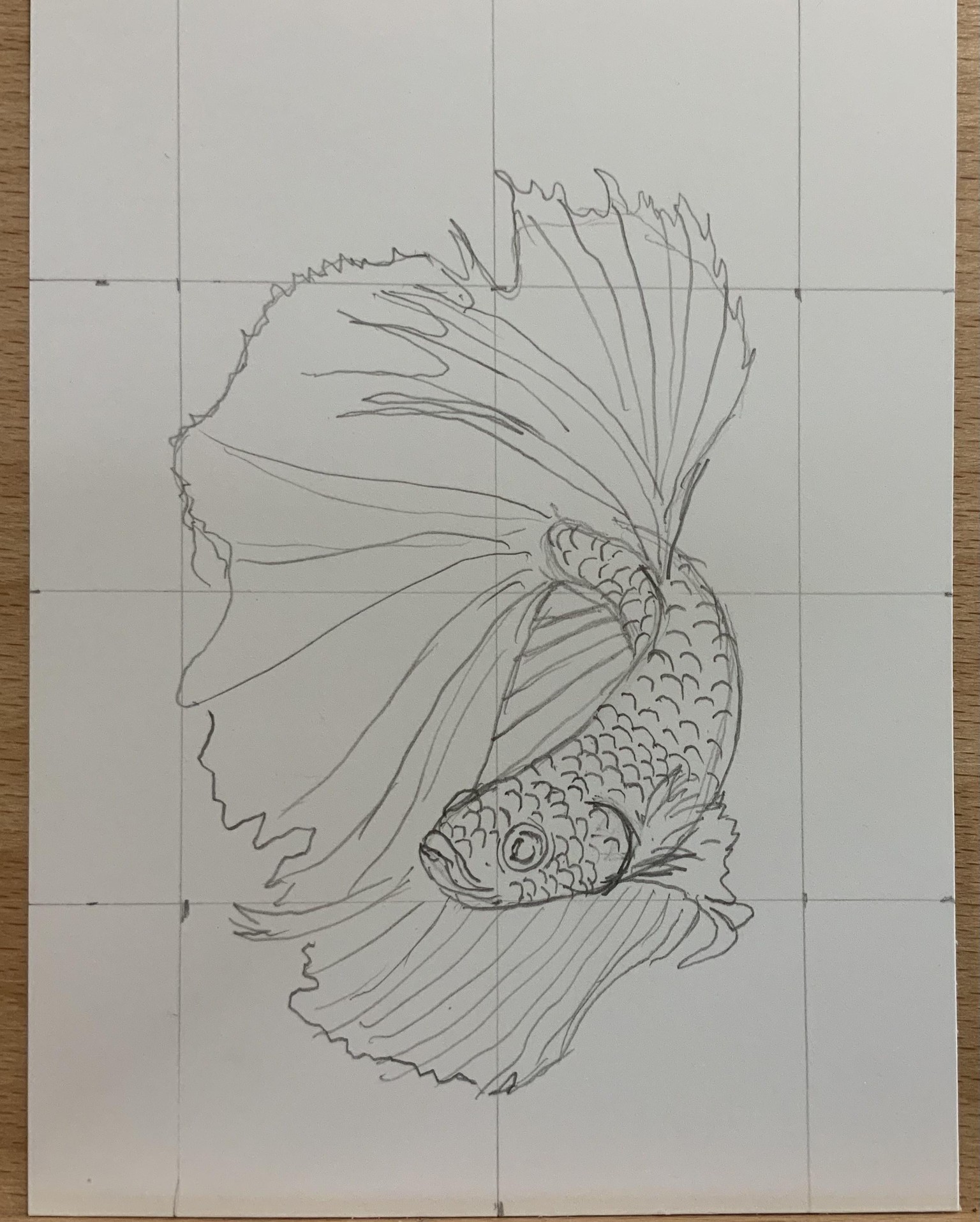 Pen Drawings - image 3 - student project