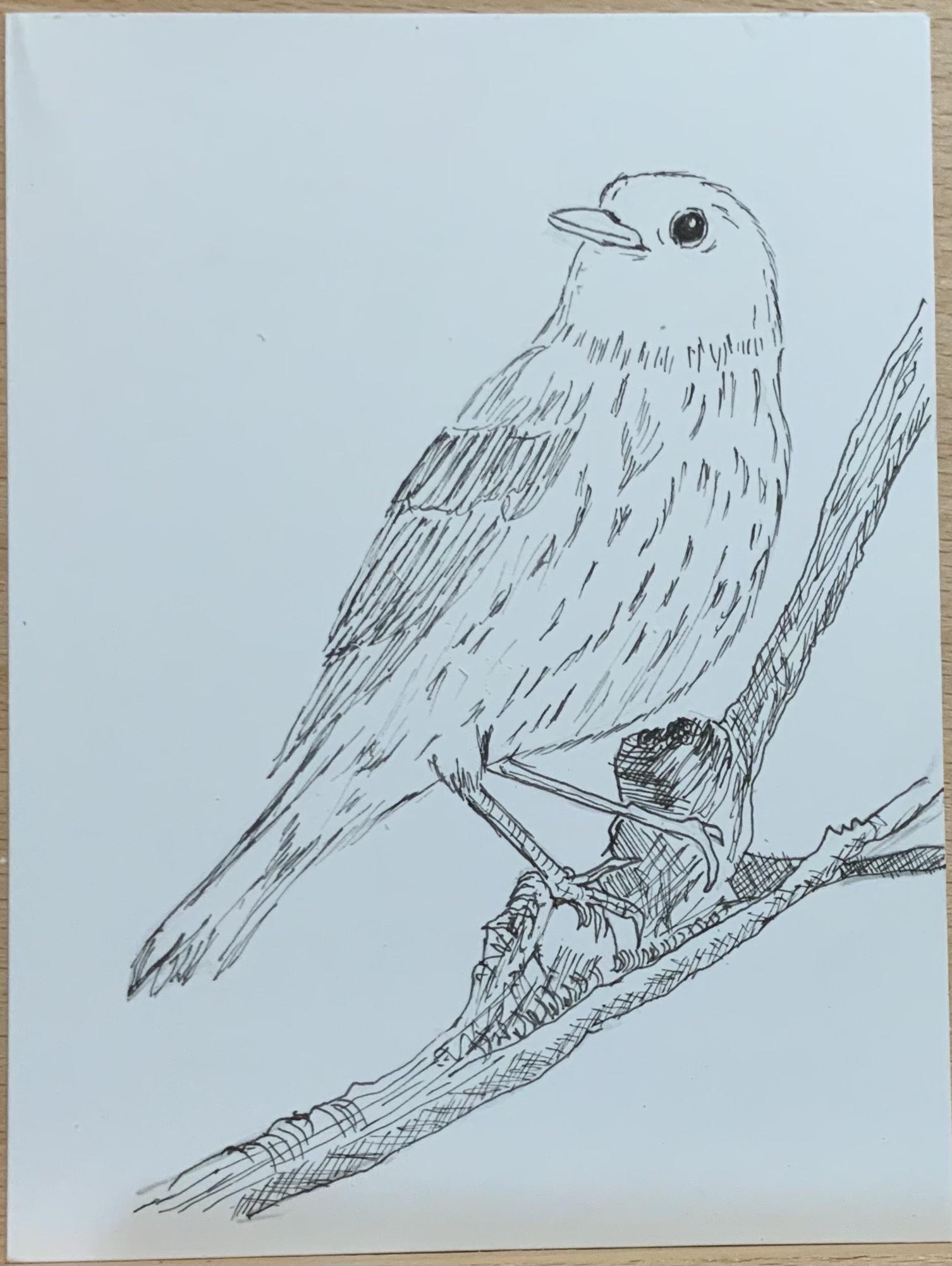 Pen Drawings - image 7 - student project