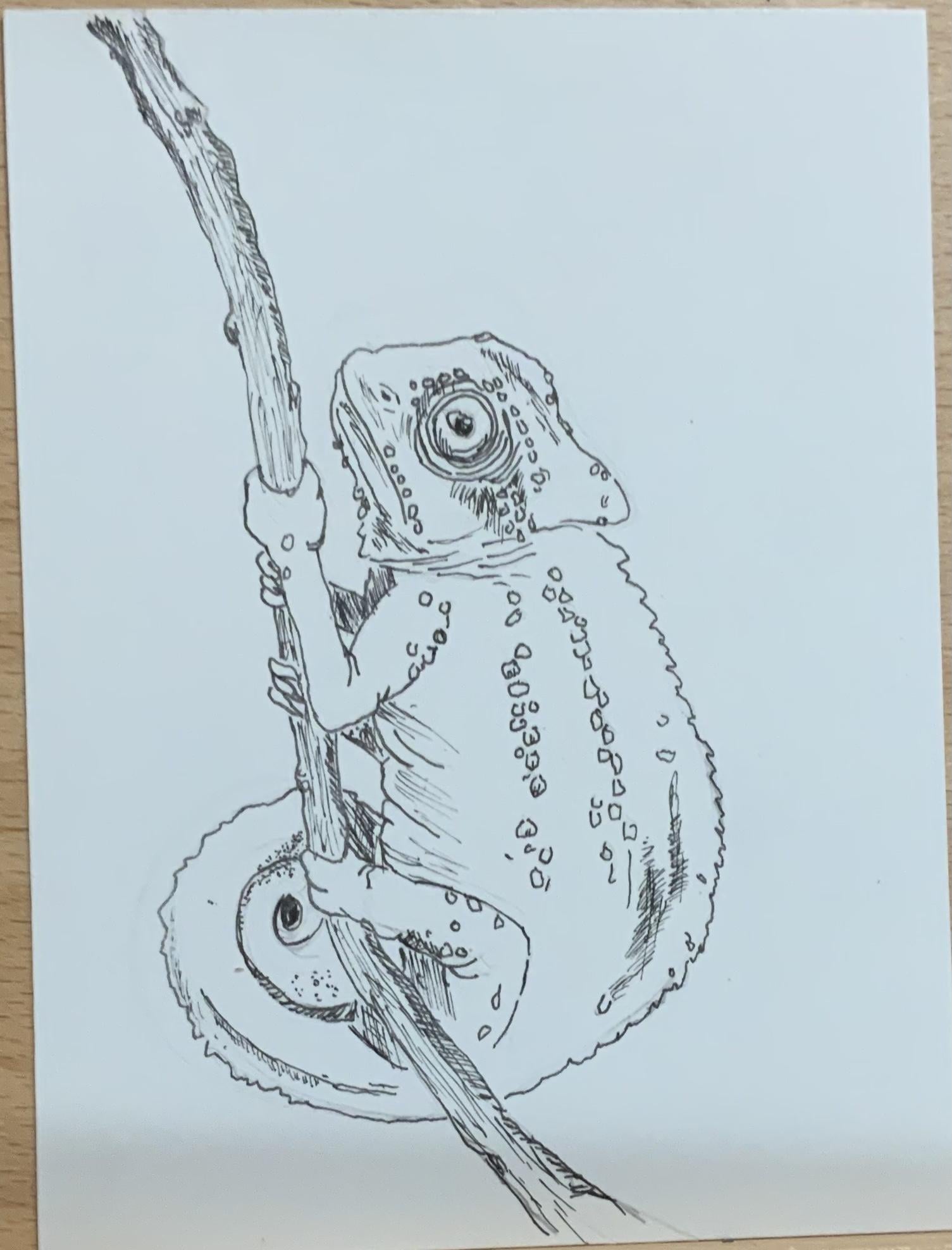 Pen Drawings - image 5 - student project