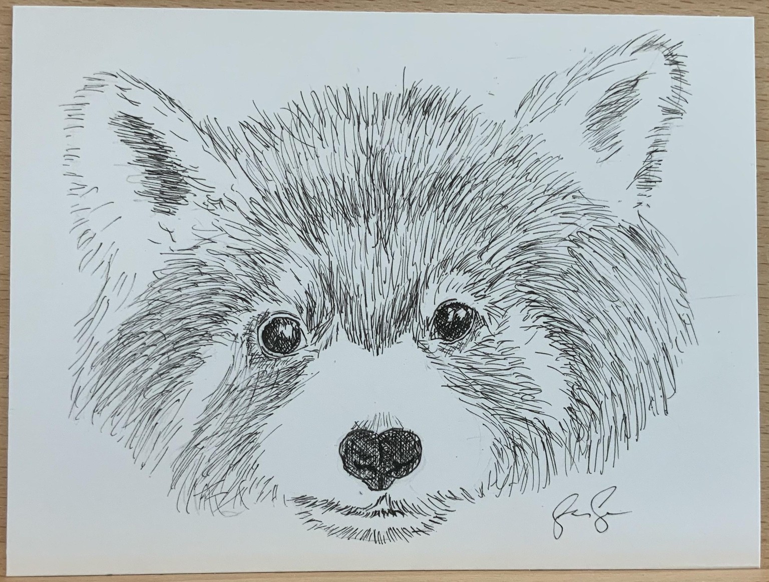 Pen Drawings - image 9 - student project