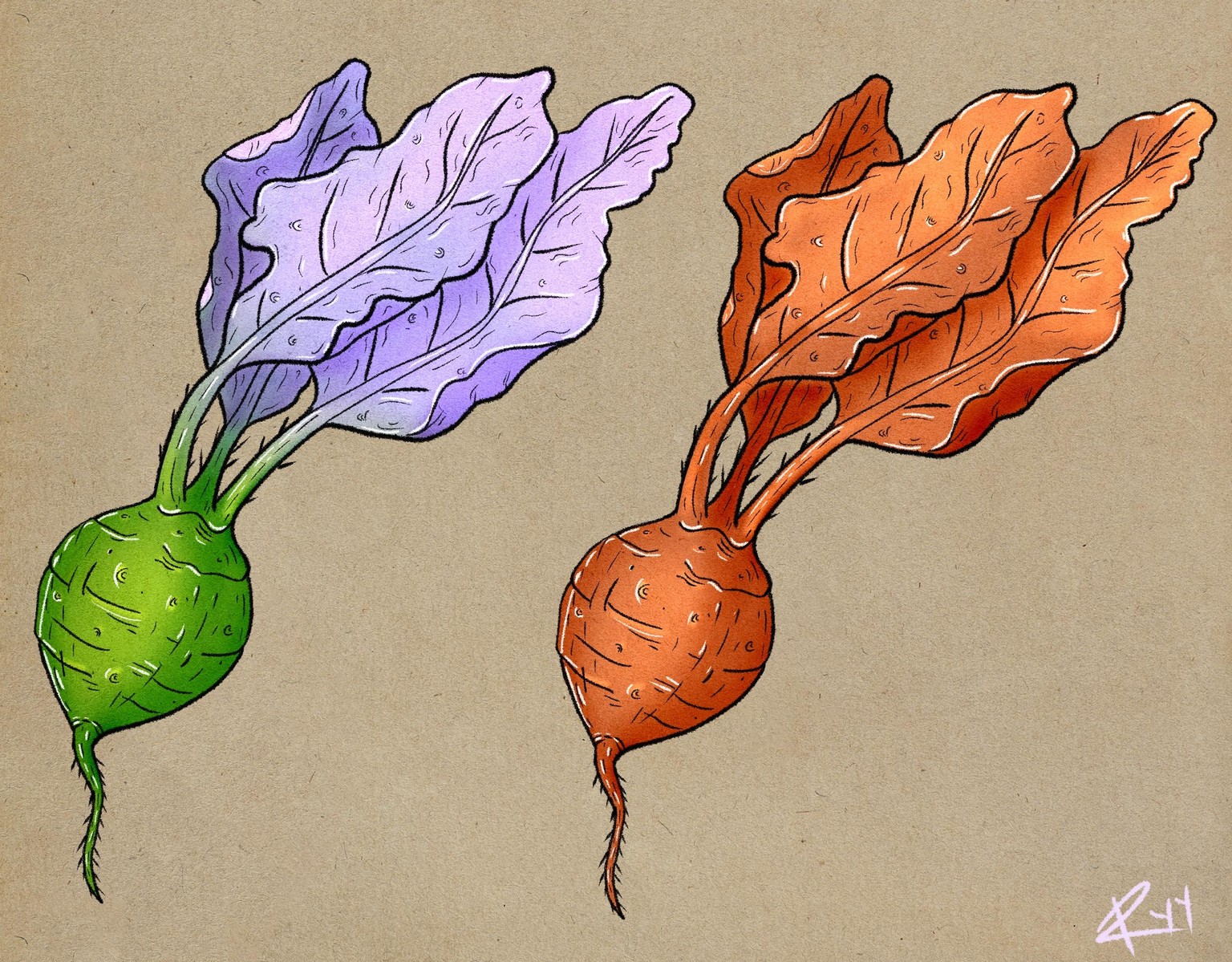 My Radishes - image 1 - student project