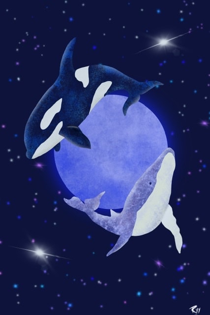Flying Whales - image 1 - student project