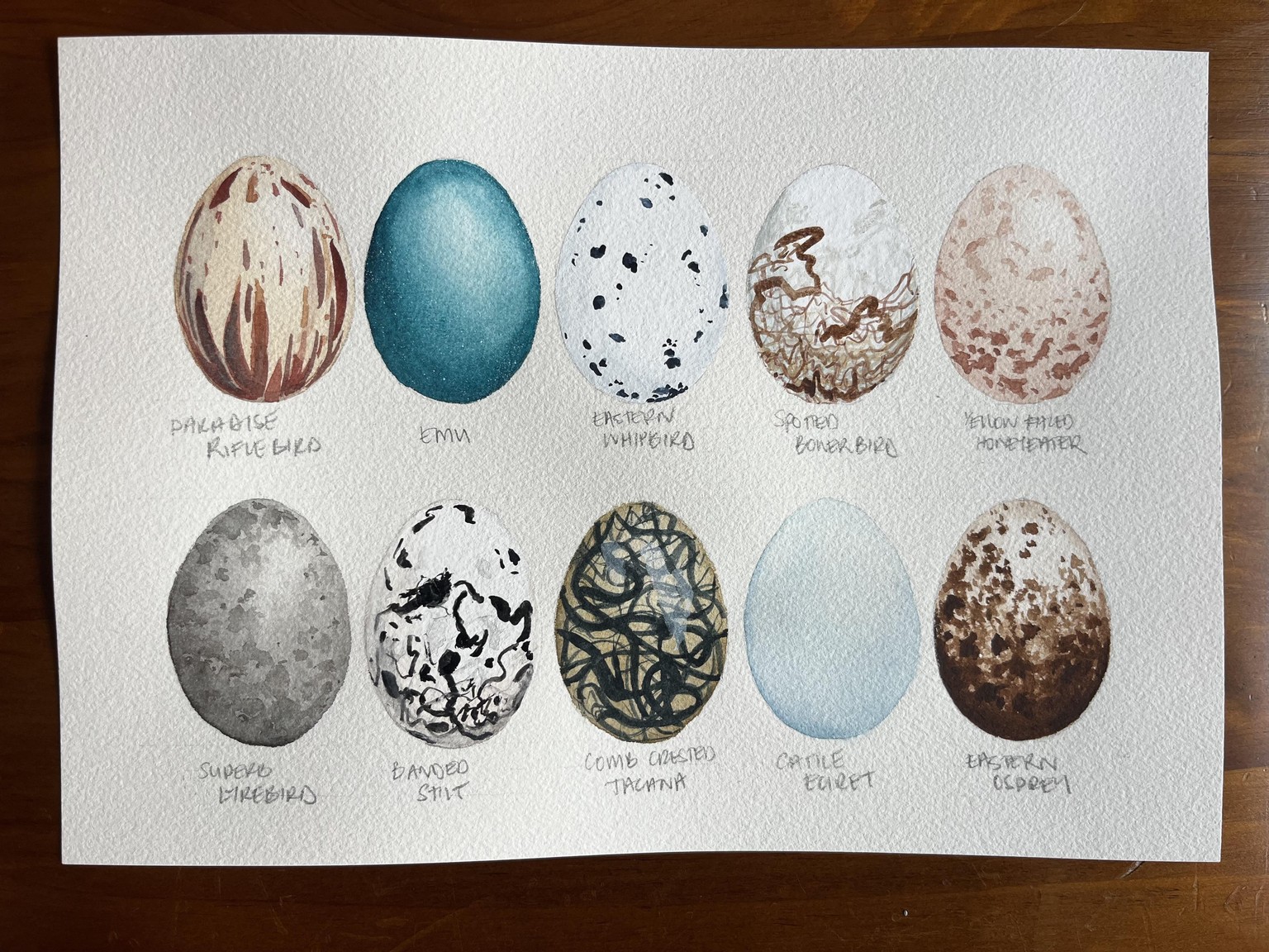 10 watercolour eggs - image 2 - student project