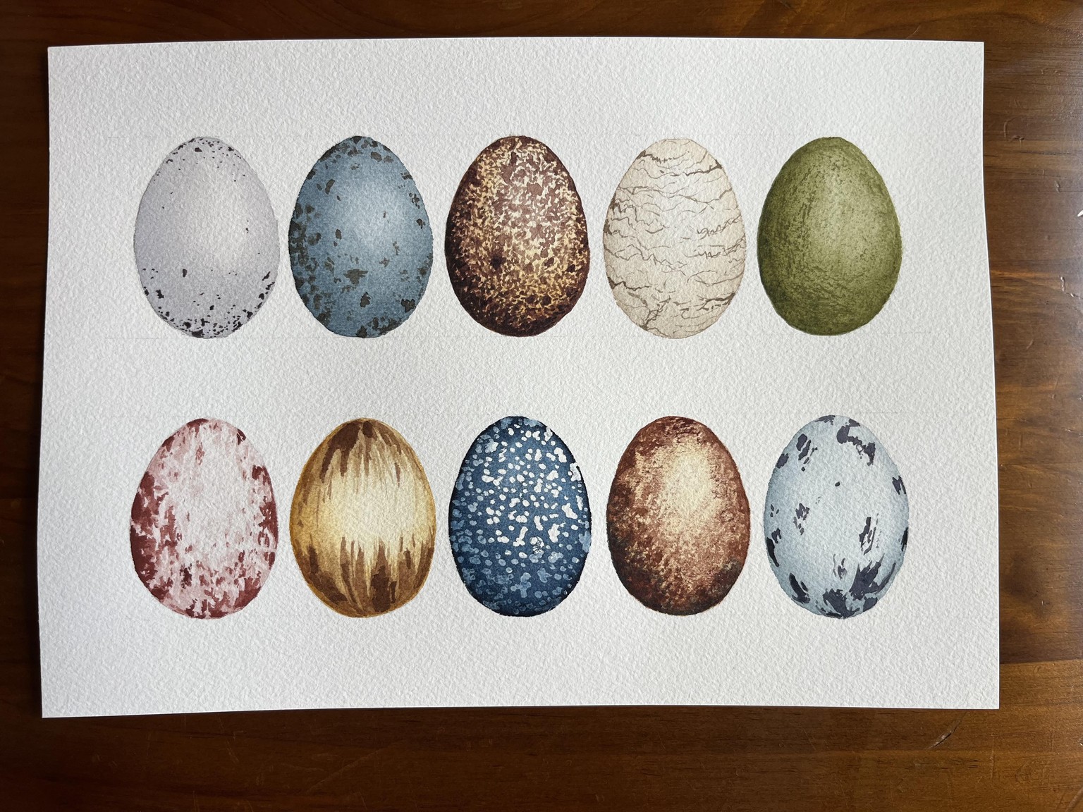 10 watercolour eggs - image 1 - student project