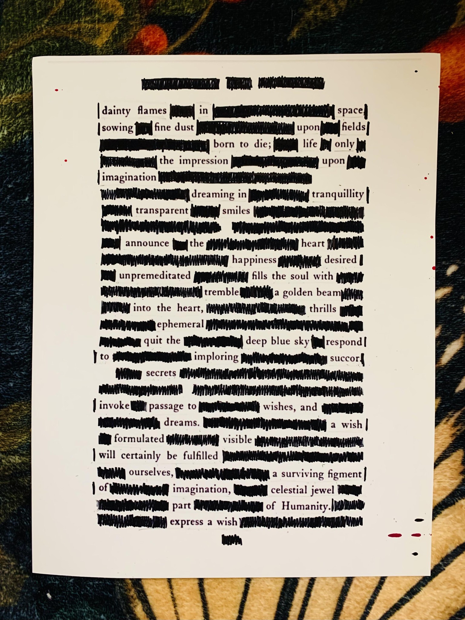 Blackout Poetry Project: Ephemera - image 1 - student project