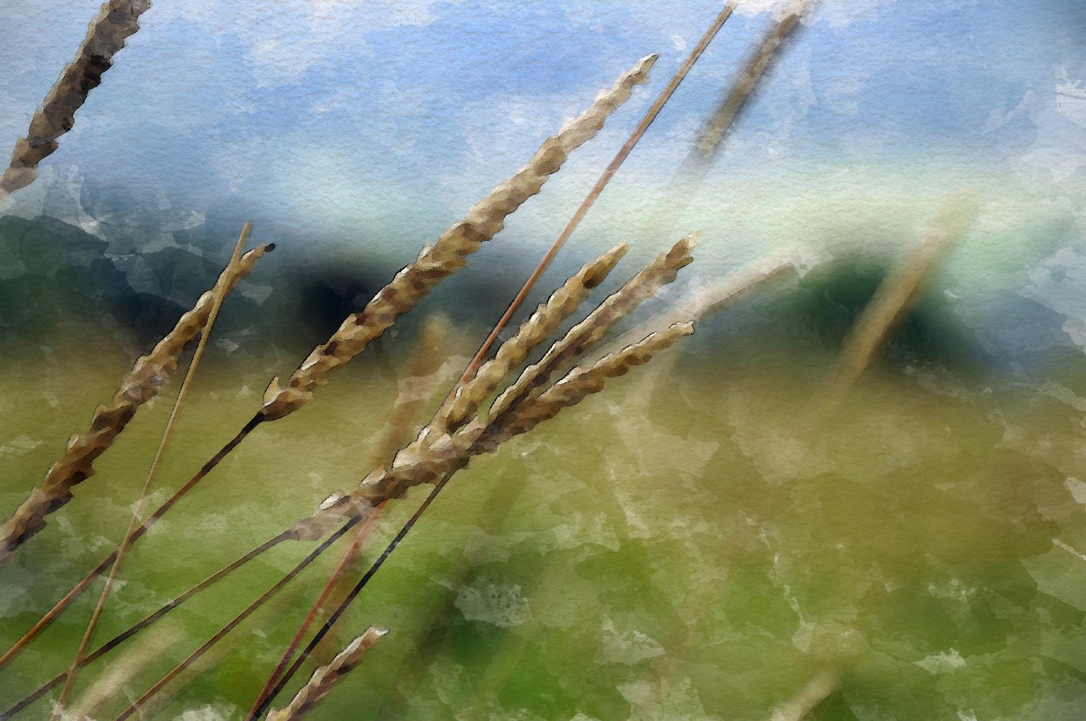 3x Watercolor effect - image 2 - student project