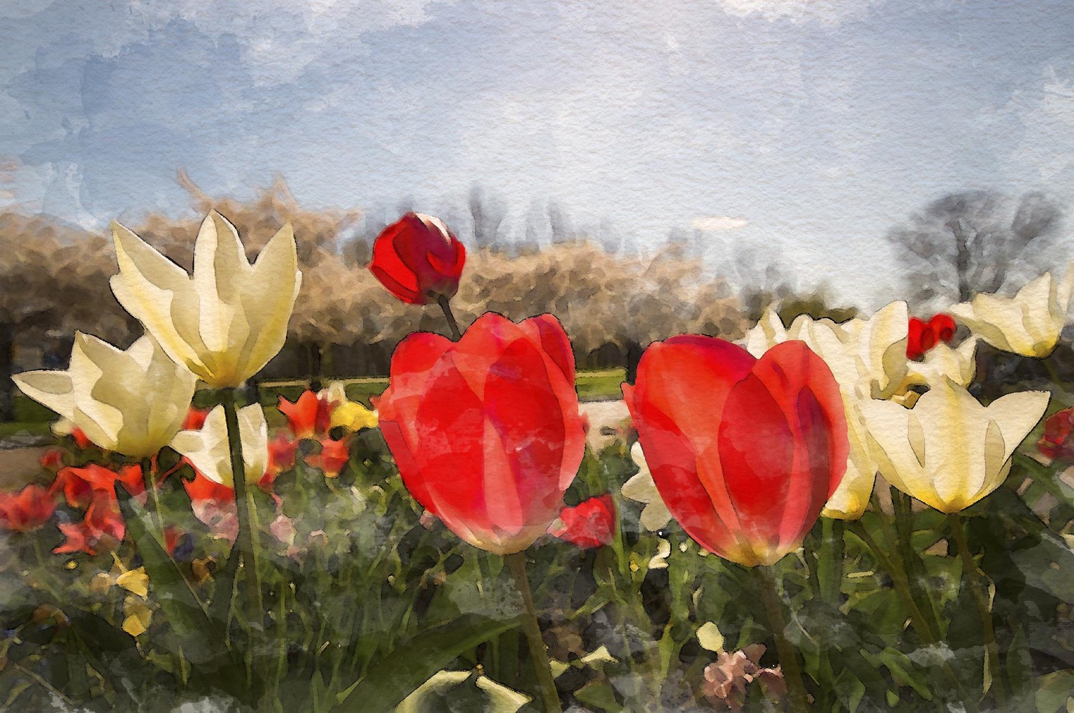 3x Watercolor effect - image 9 - student project