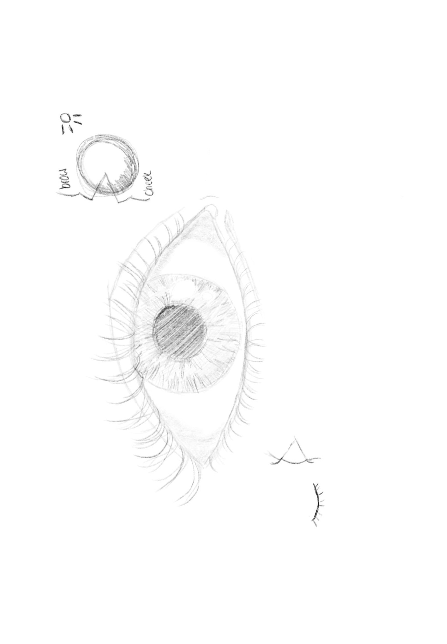 Drawing Faces - image 2 - student project
