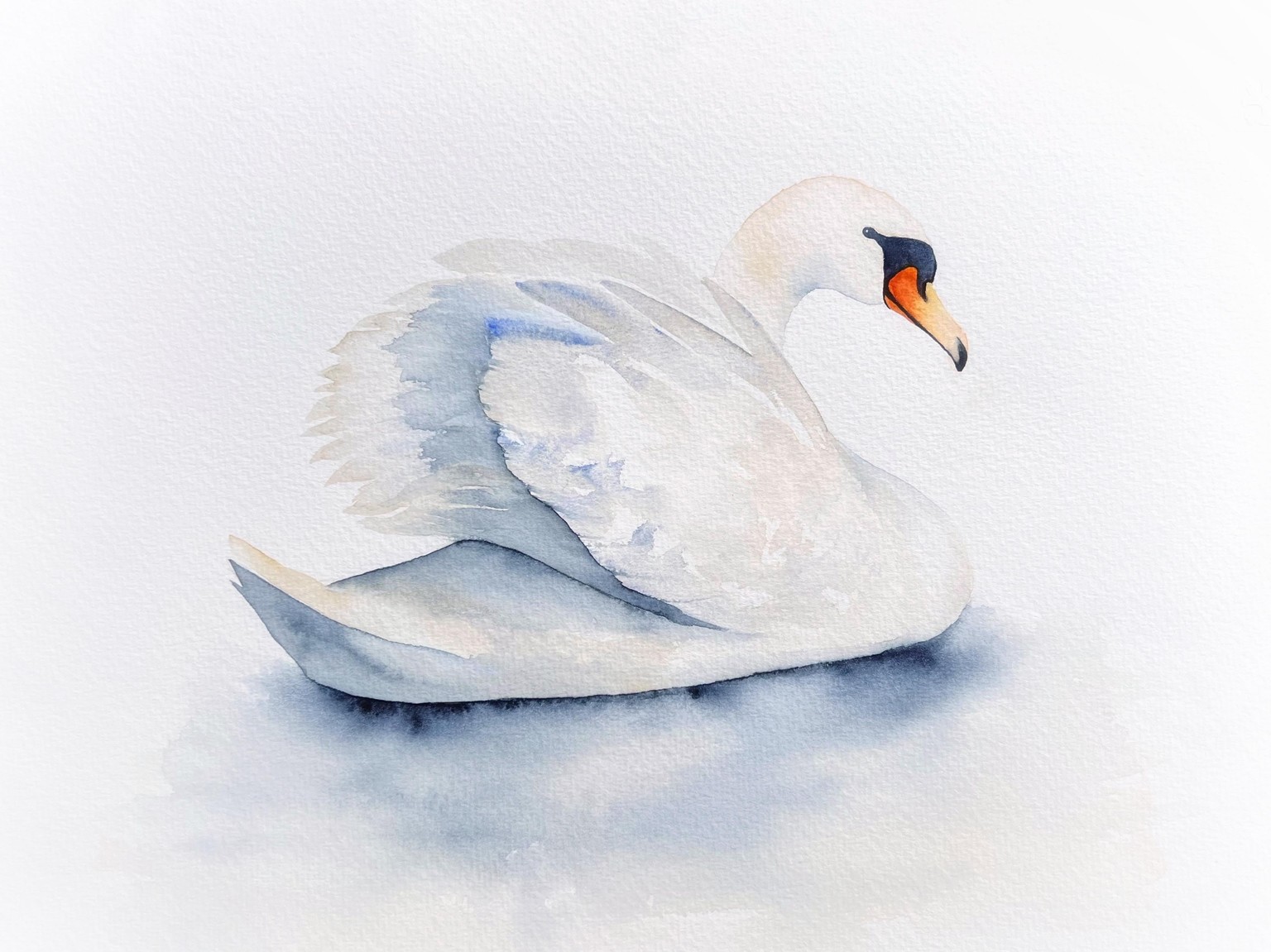 Swan - image 1 - student project