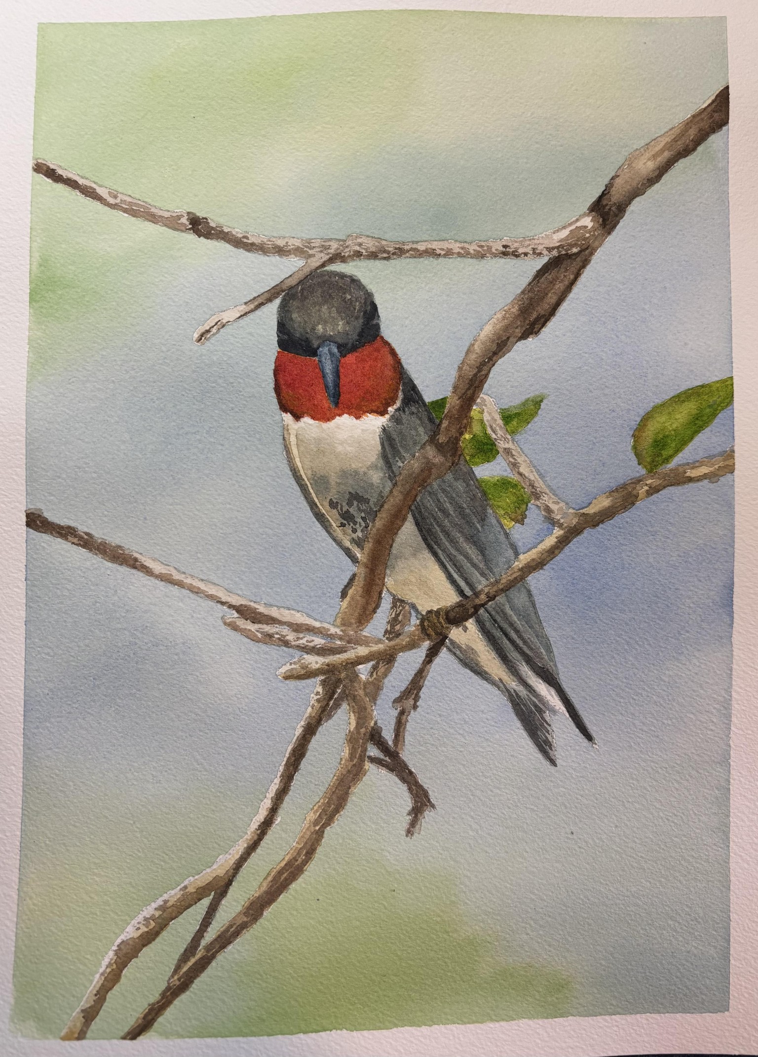 Bird in a tree - image 1 - student project