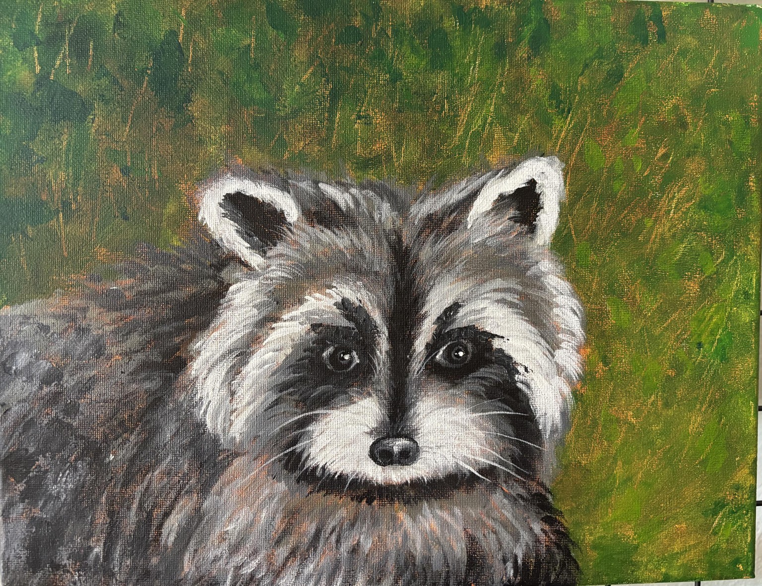Raccoon - image 1 - student project