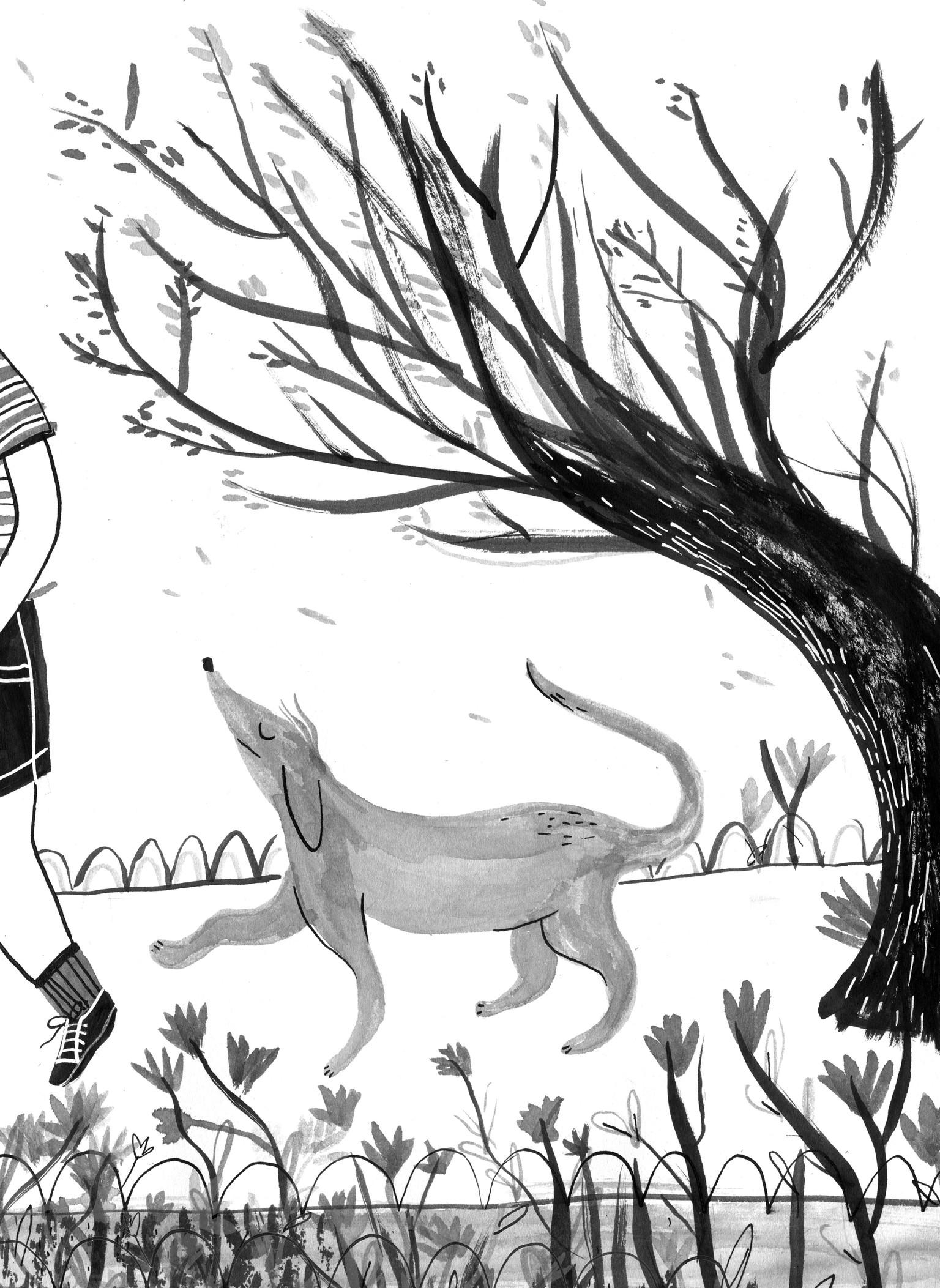 Nib + Brush - image 2 - student project