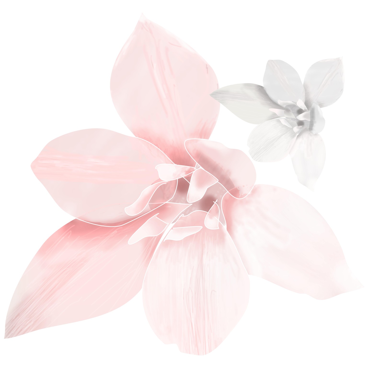 Greyscale study - image 1 - student project