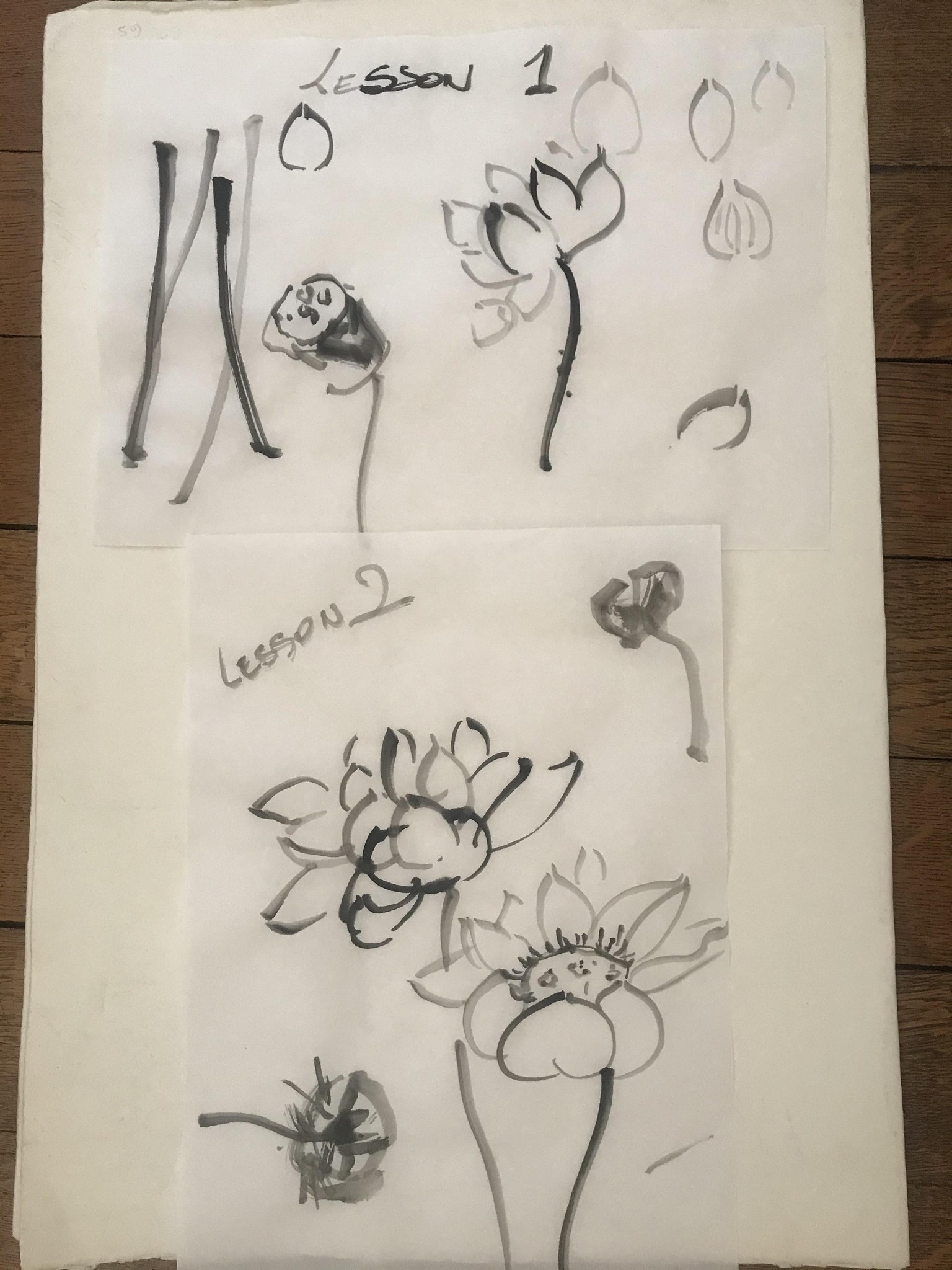 My contribution - image 1 - student project