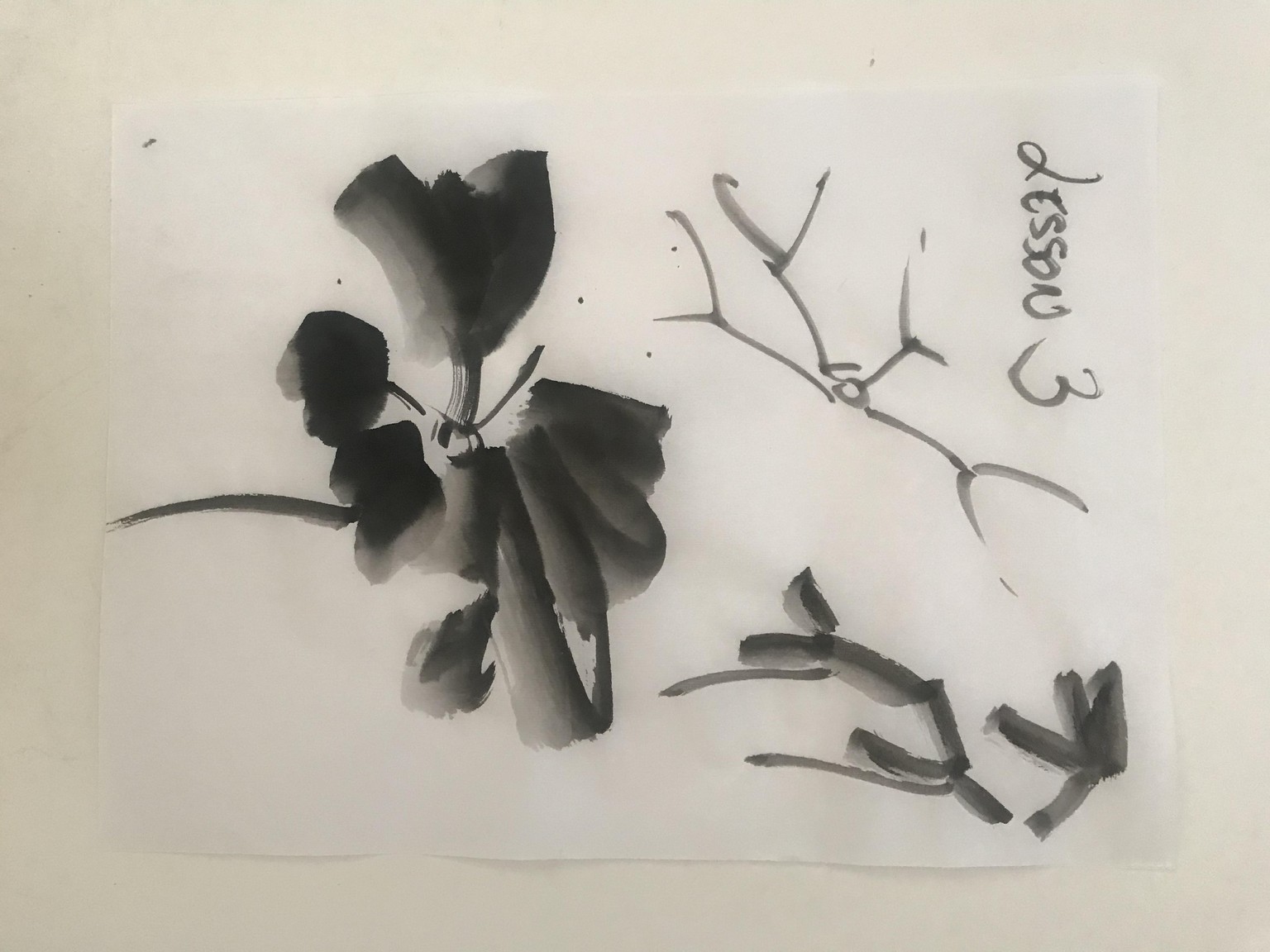My contribution - image 2 - student project