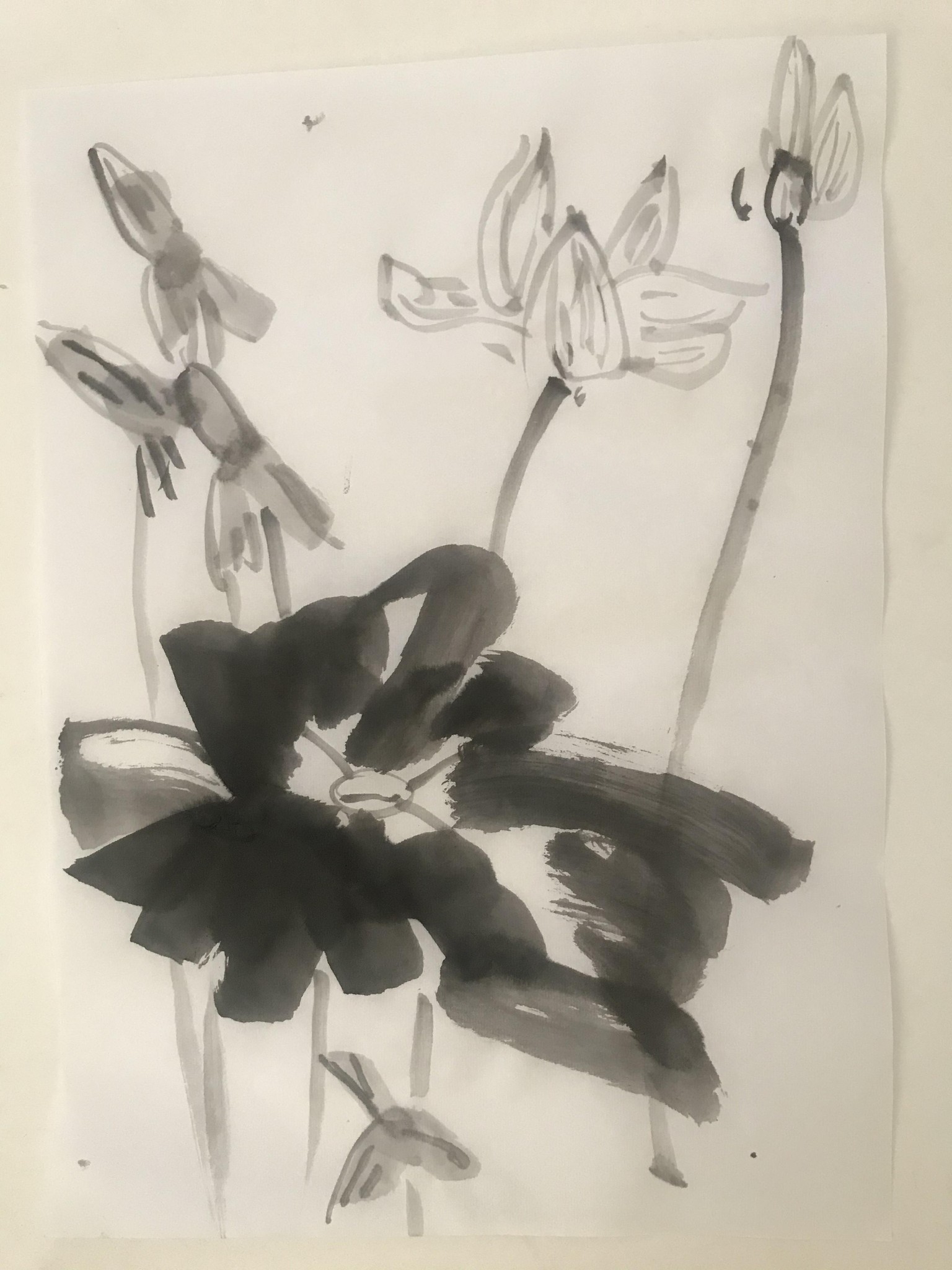 My contribution - image 4 - student project