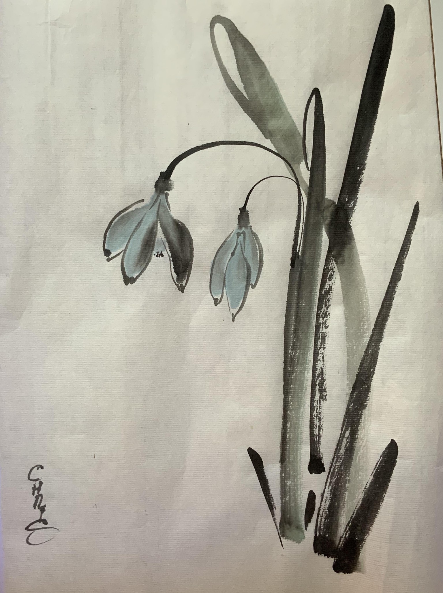 My Snowdrop - image 2 - student project