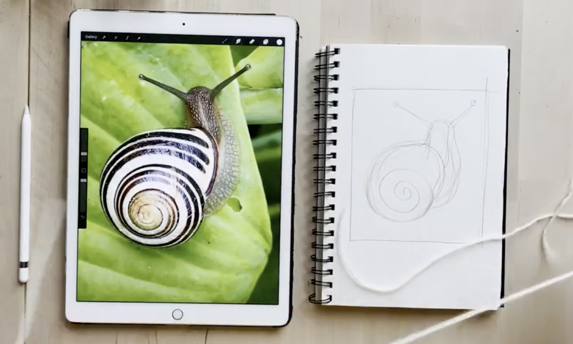 Snail Painting! - image 1 - student project