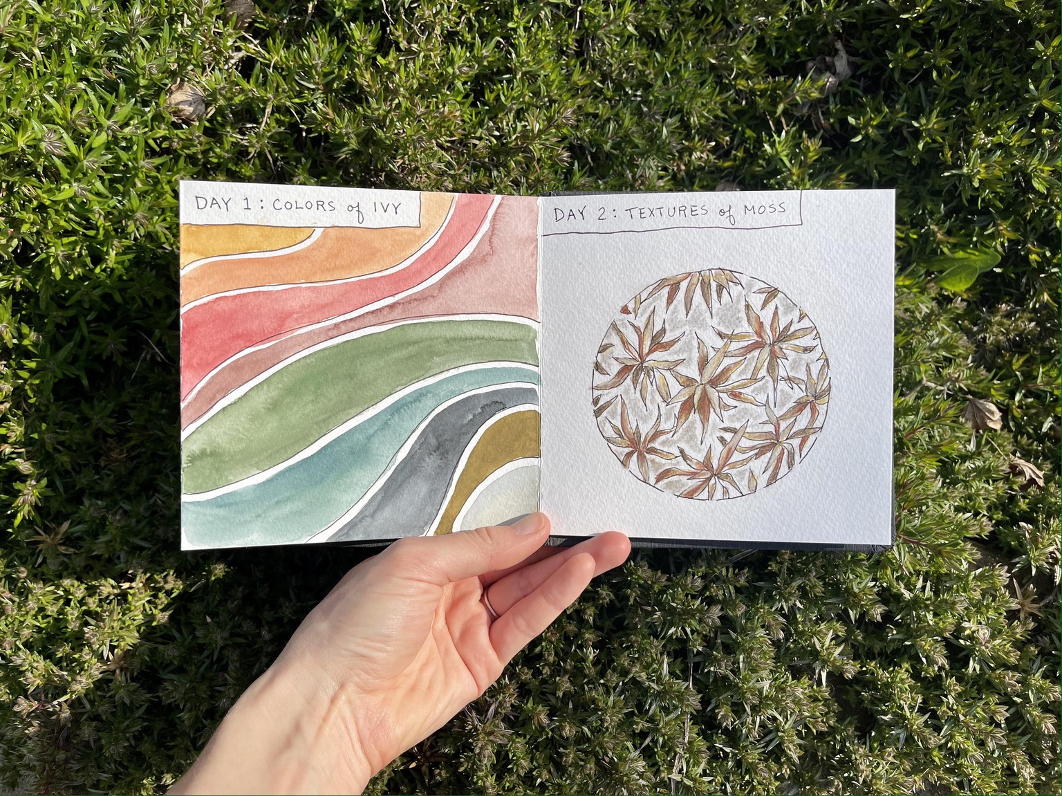 7 Days of Pittsburgh Nature! - image 2 - student project
