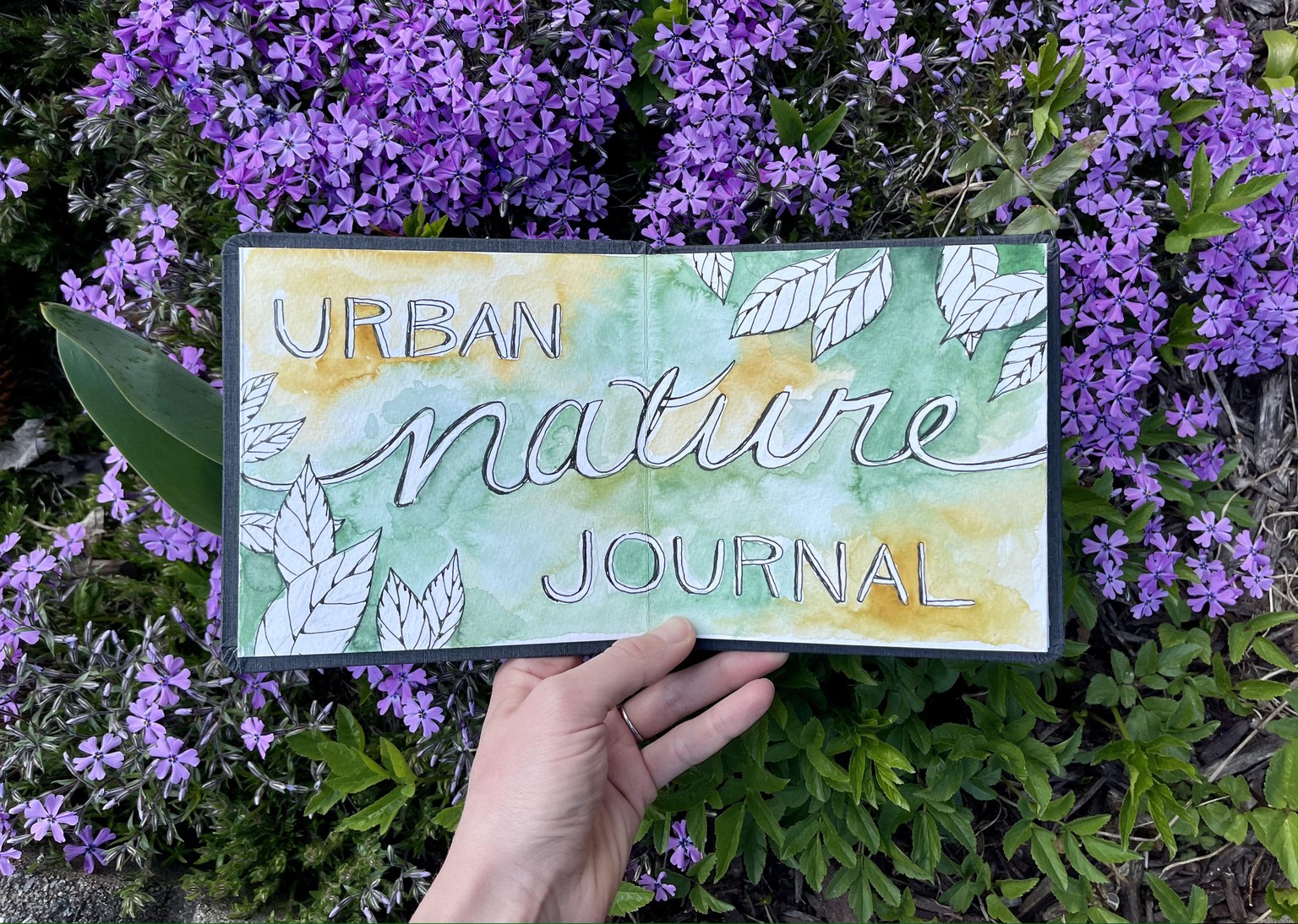 7 Days of Pittsburgh Nature! - image 1 - student project