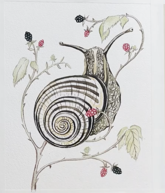 Snail Painting! - image 4 - student project