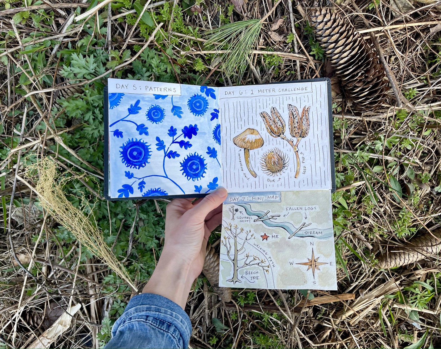 7 Days of Pittsburgh Nature! - image 4 - student project