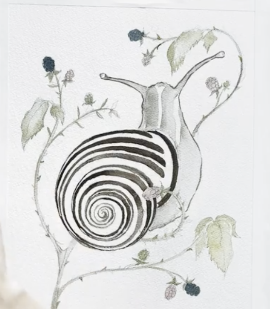 Snail Painting! - image 3 - student project