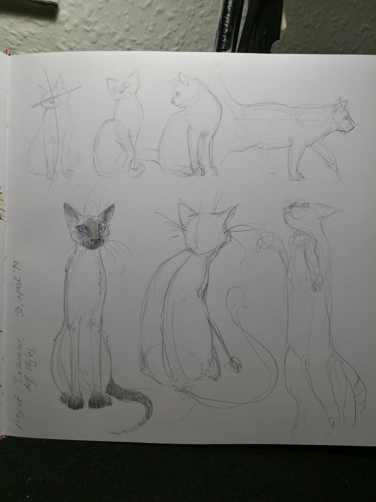My cats. - image 4 - student project