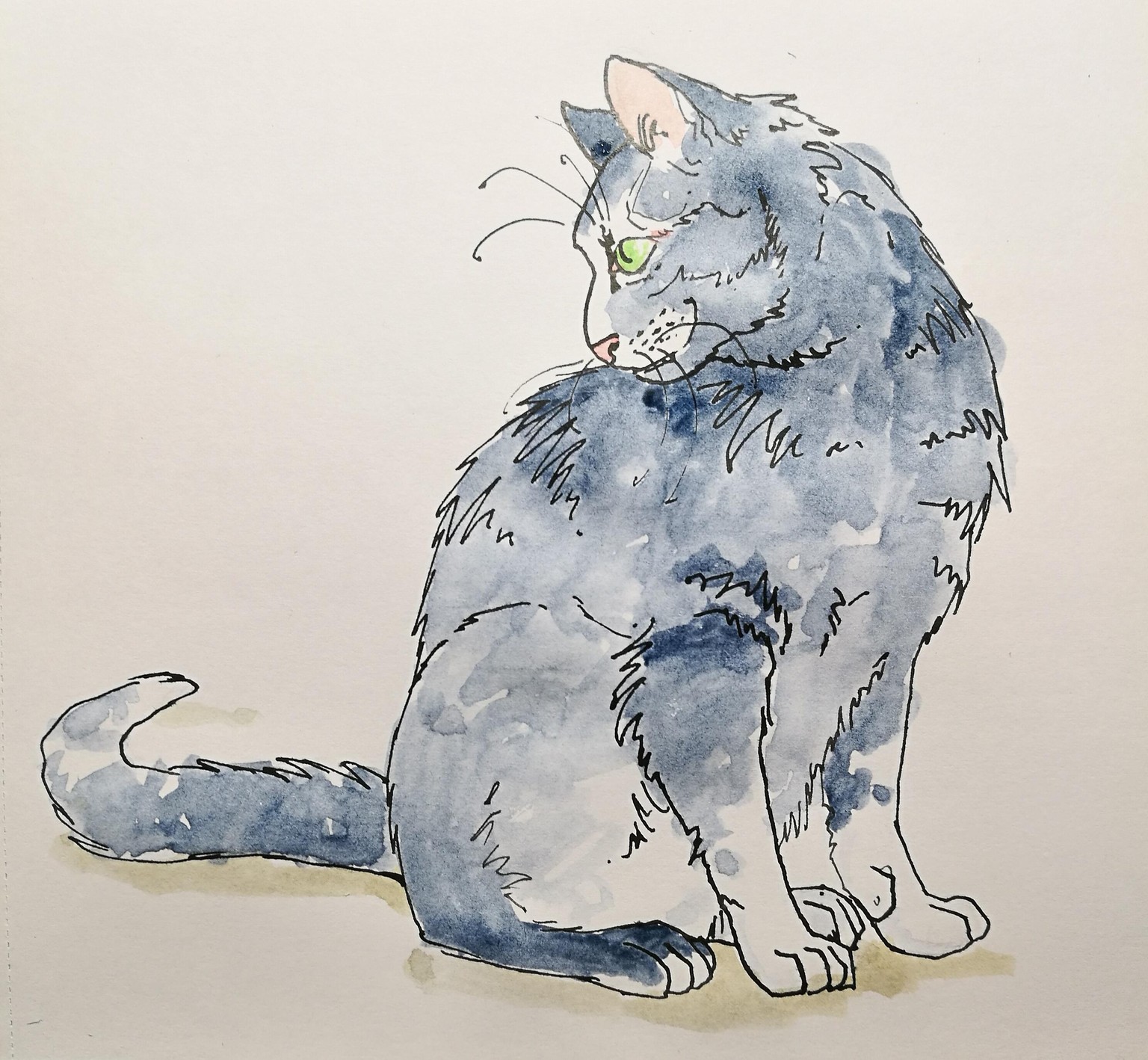 My cats. - image 1 - student project