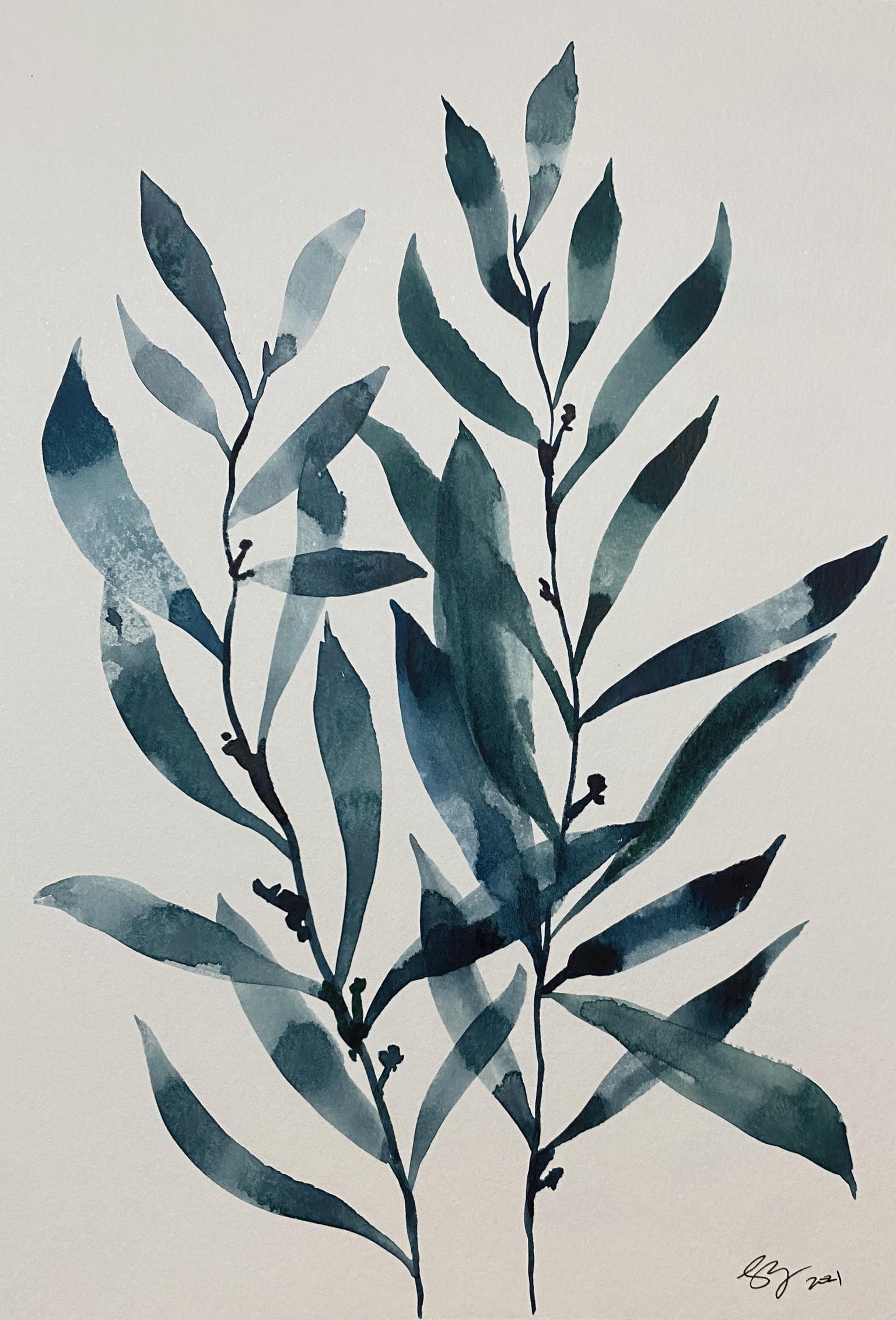 Eucalyptus - image 1 - student project