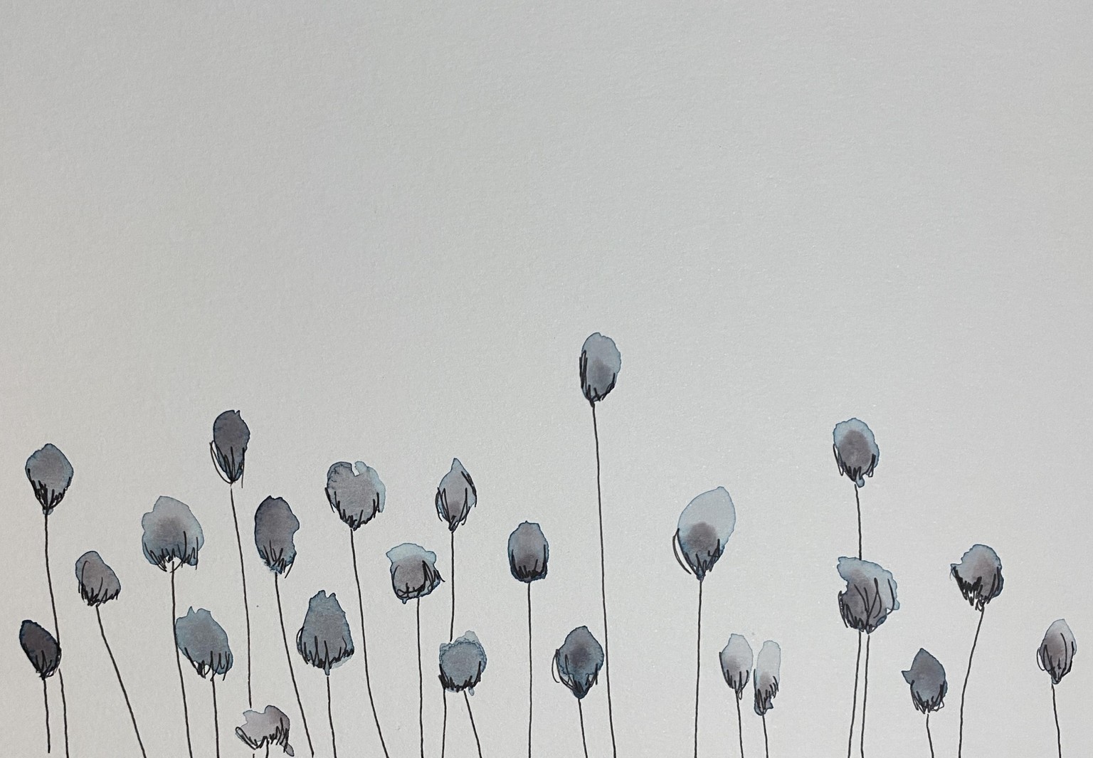 Eucalyptus - image 2 - student project