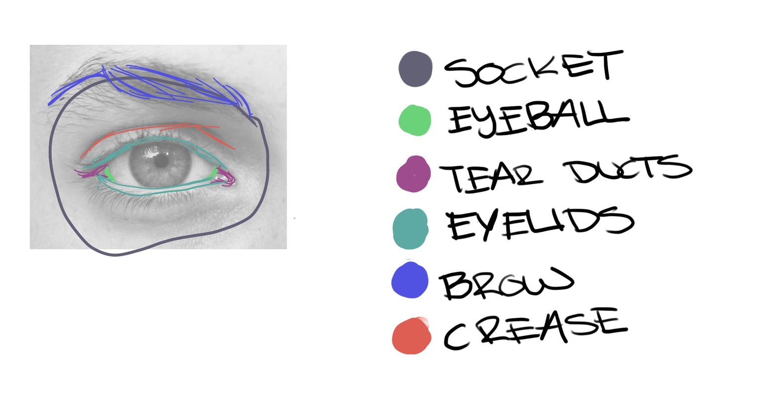 Sample Project - Eyes! - image 1 - student project