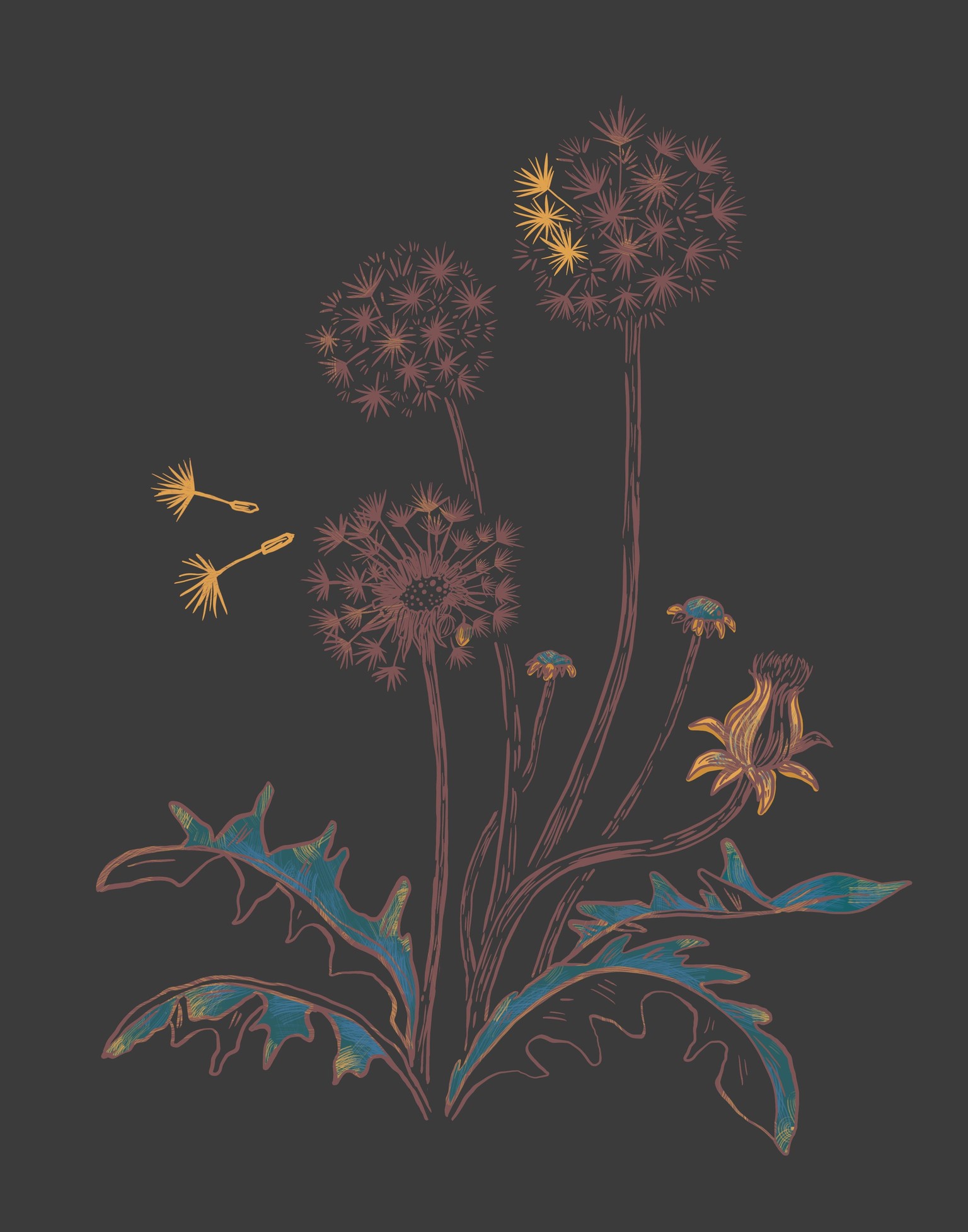Wildflowers - image 2 - student project