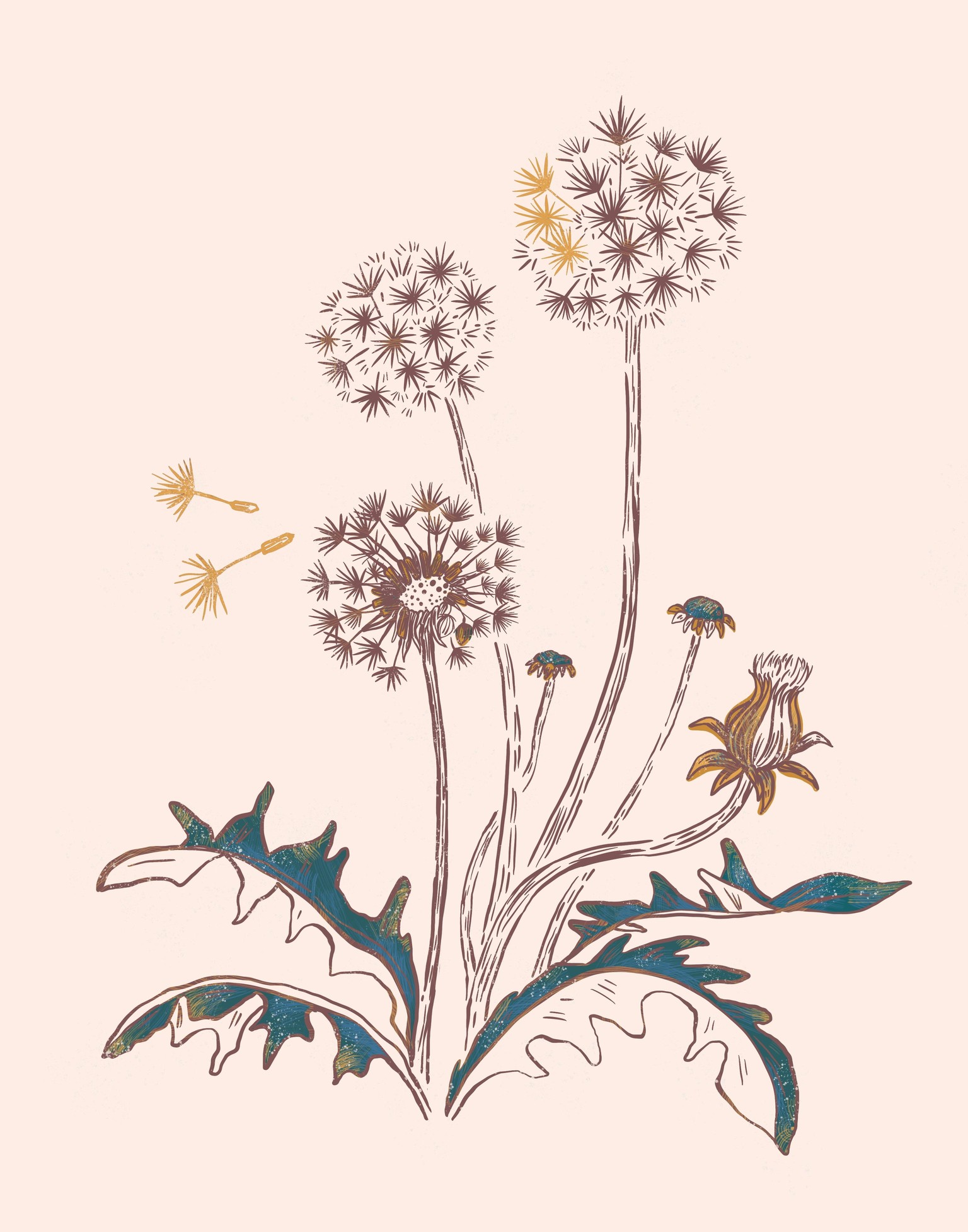 Wildflowers - image 1 - student project