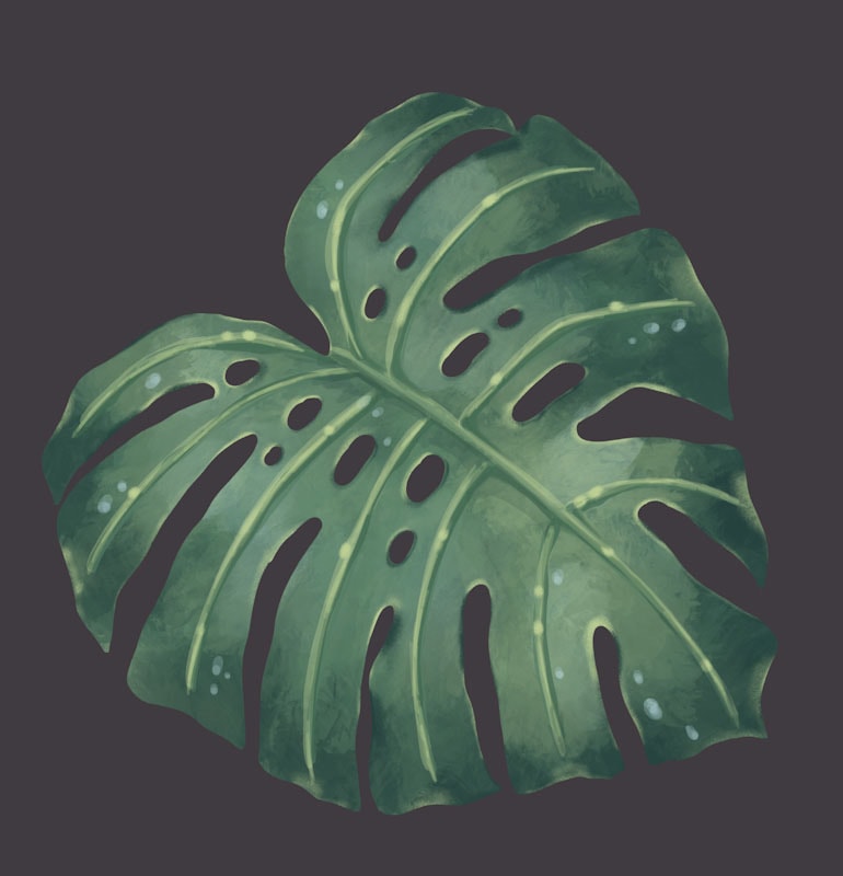 Botanical Dream - image 4 - student project