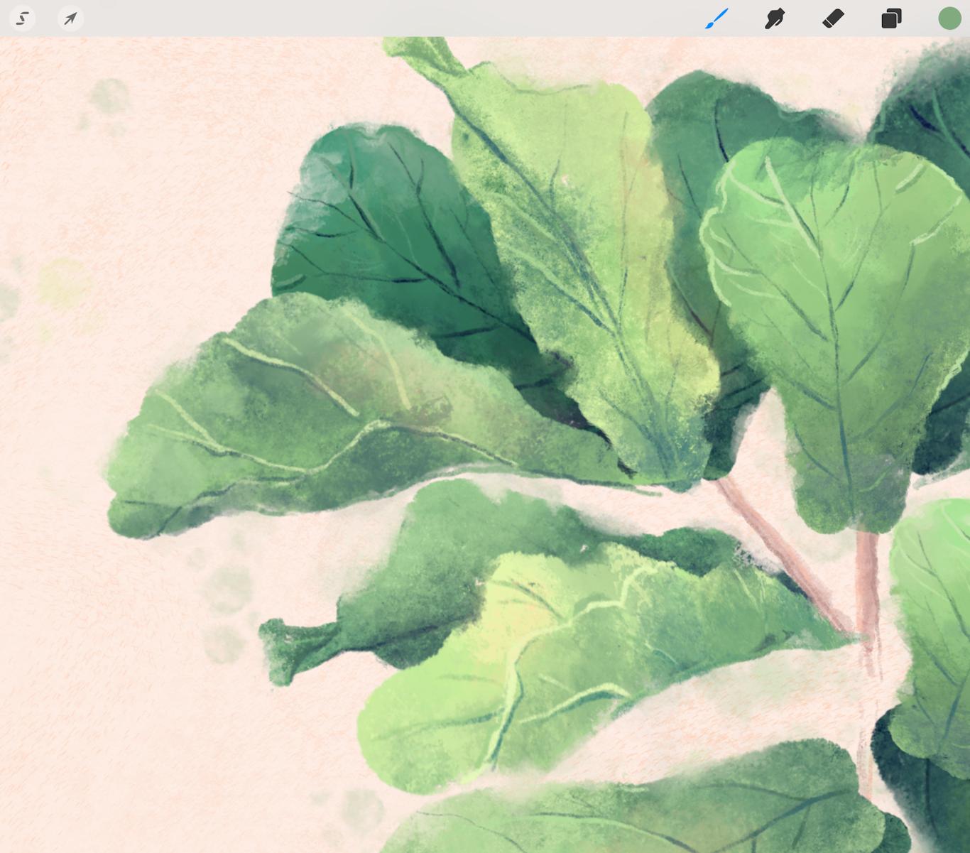 Fiddle Leaf Fig Tree - image 2 - student project