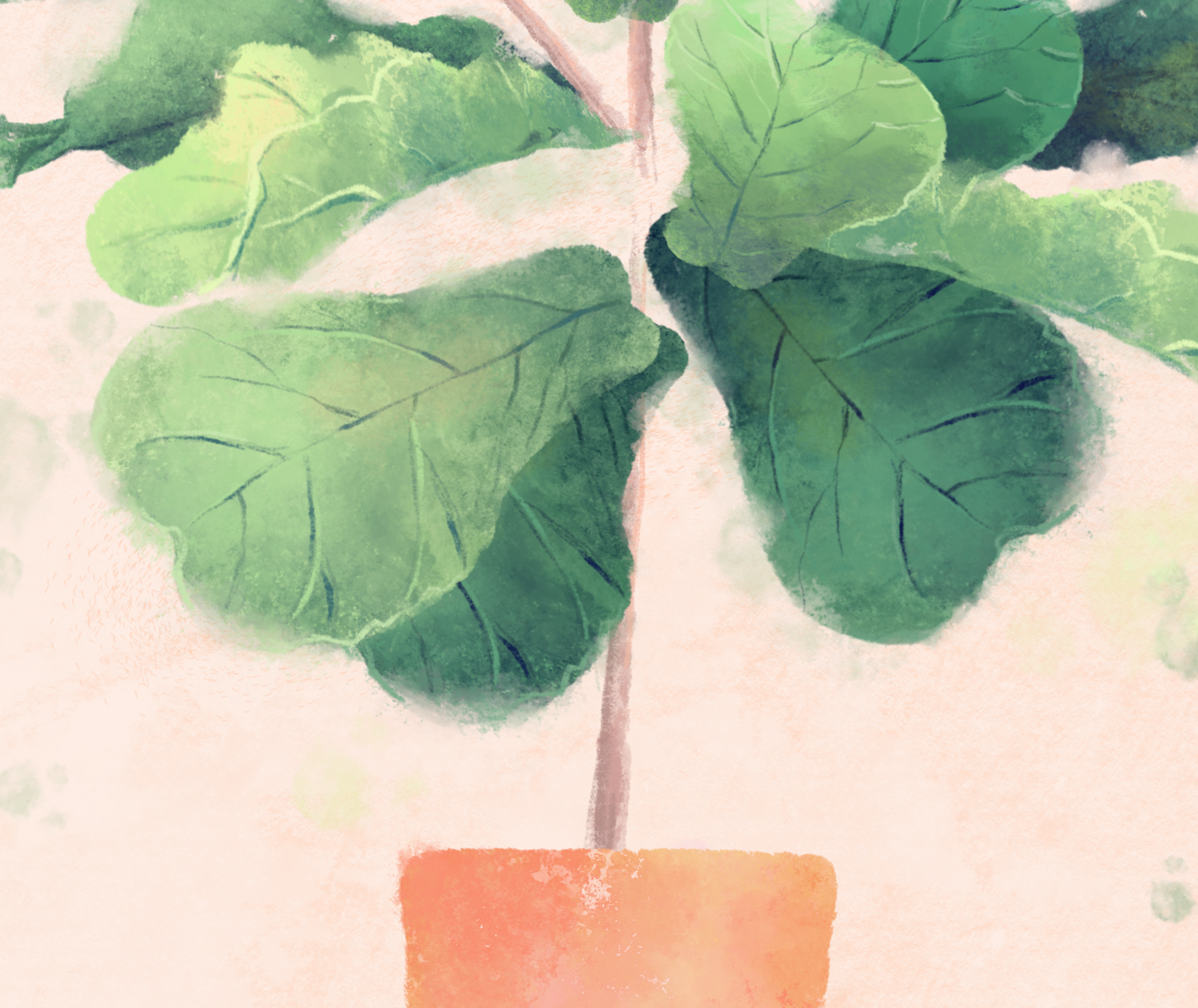 Fiddle Leaf Fig Tree - image 3 - student project