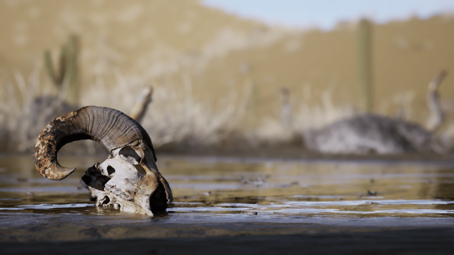 Wasteland - image 1 - student project