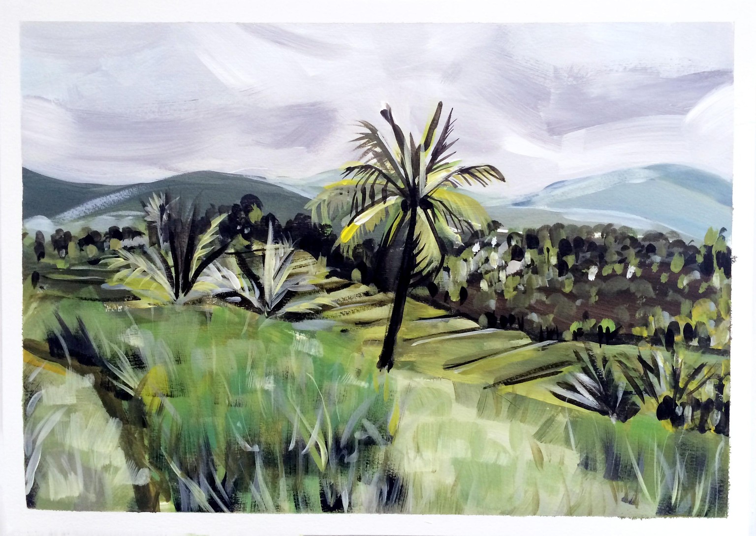 Bali Rice Fields - image 1 - student project
