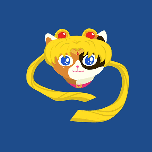 Sailor Moon Cat! - image 1 - student project