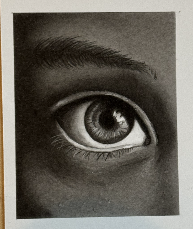 Hyper Realistic Eyes in Graphite - image 1 - student project