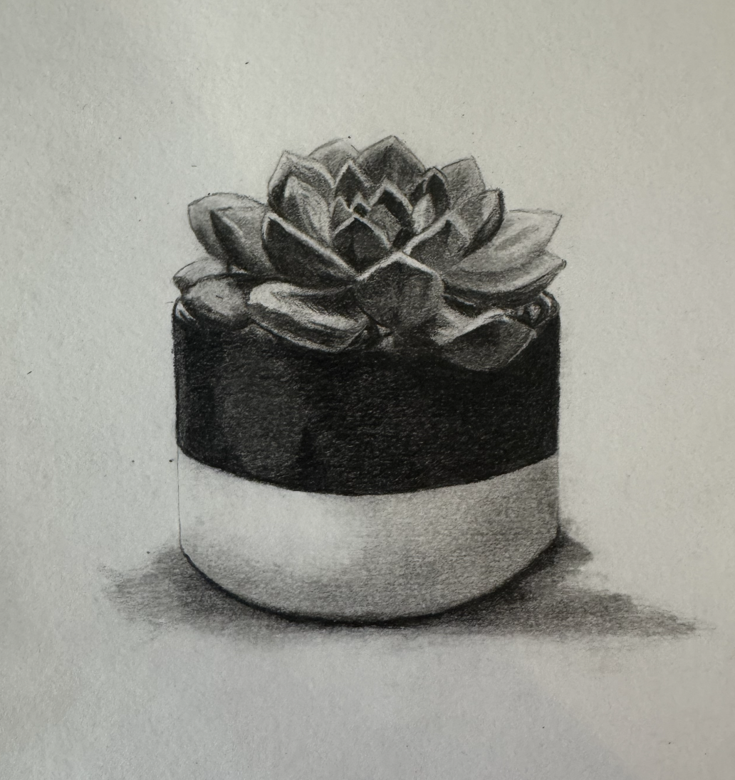 Graphite Succulent - image 1 - student project