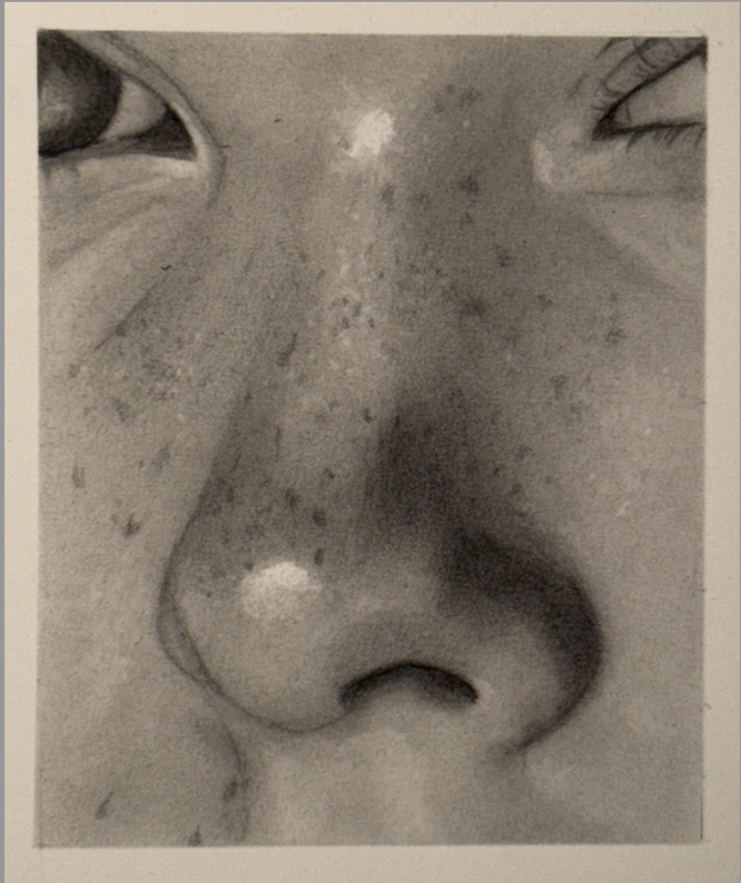 Nose Study in Graphite - image 2 - student project